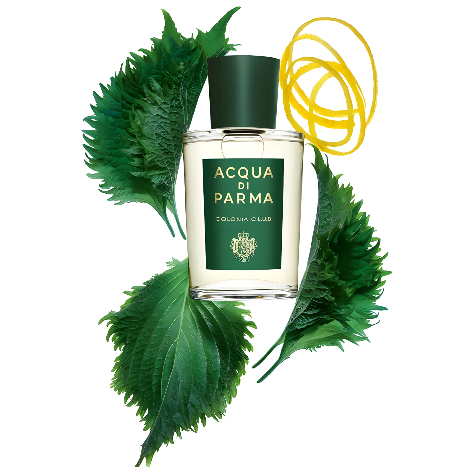 Acqua Di Parma Colonia C.L.U.B. Eau de Cologne for Everyone - Image 2