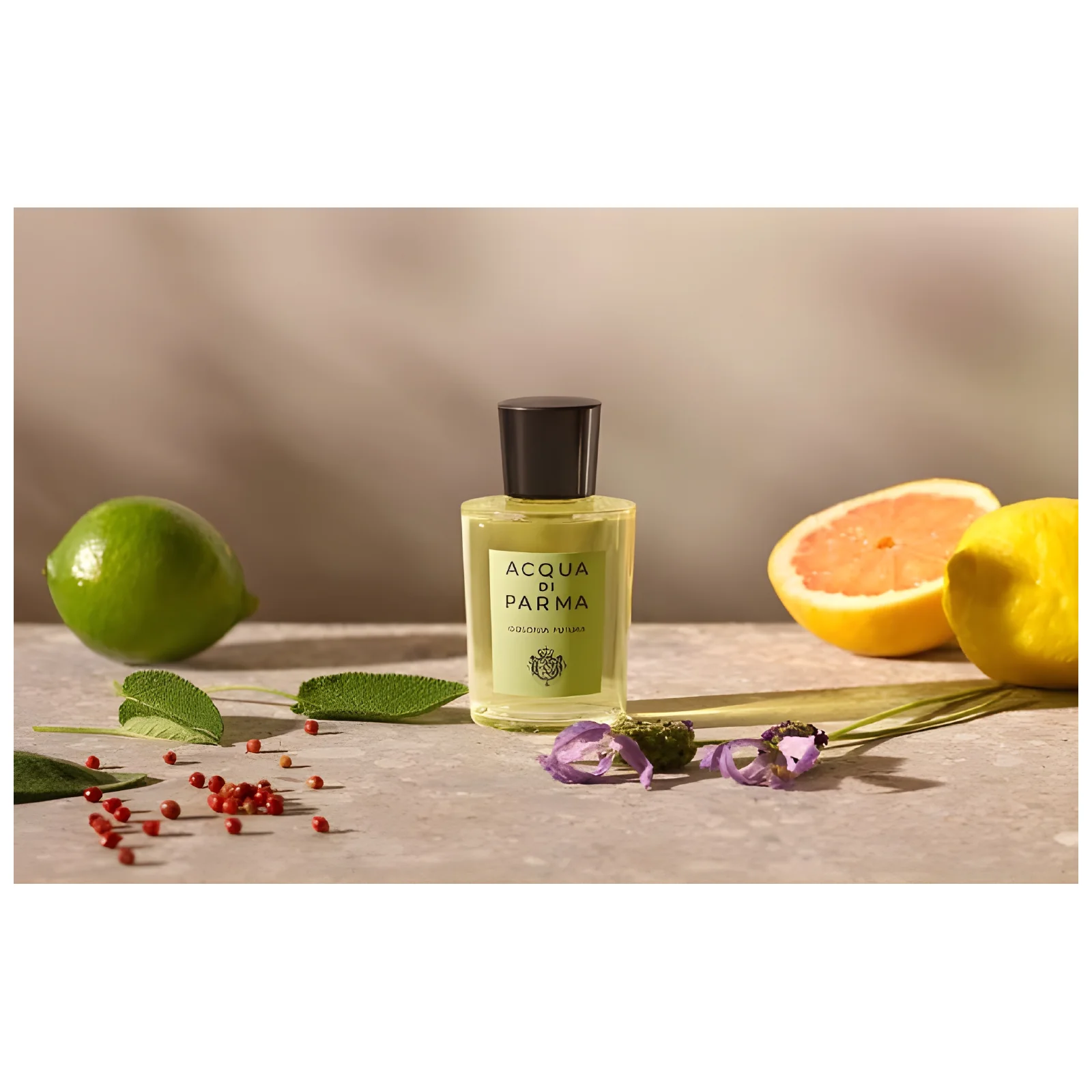 Acqua Di Parma Colonia Futura Eau de Cologne for Men - Image 8