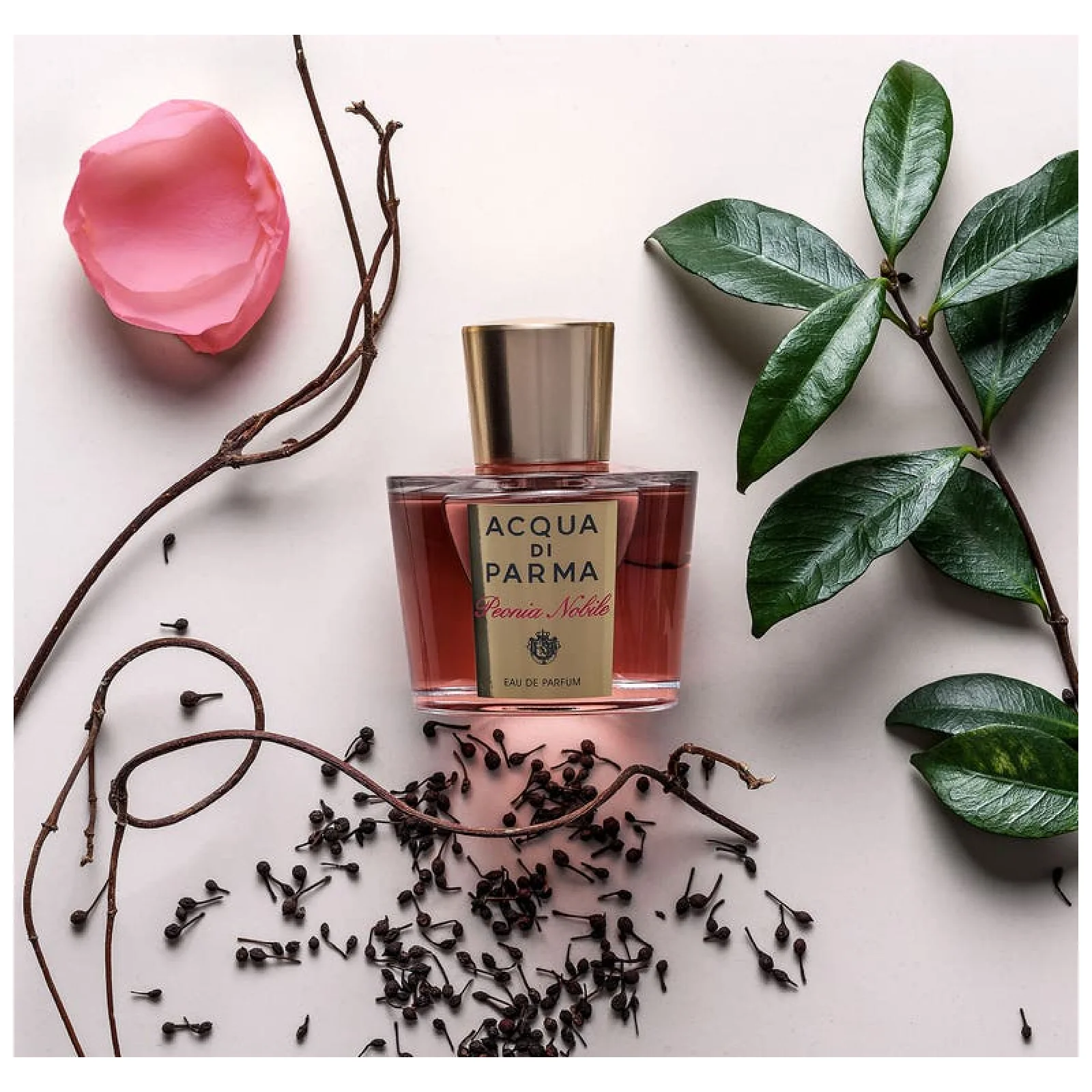 Acqua Di Parma Peonia Nobile Eau de Parfum for Women - Image 4
