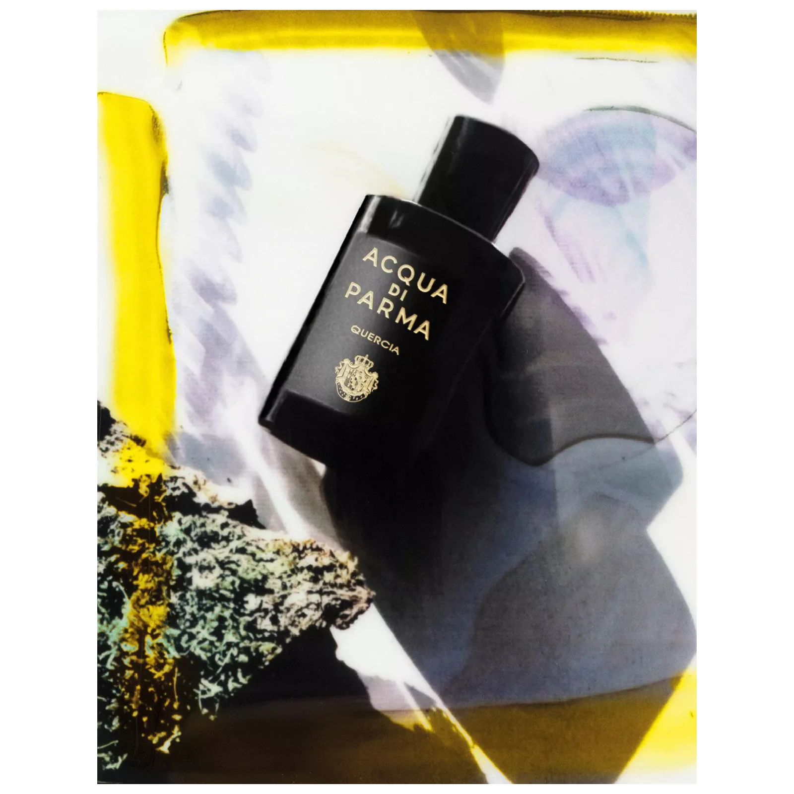 Acqua Di Parma Quercia Eau de Parfum for Everyone - Image 3
