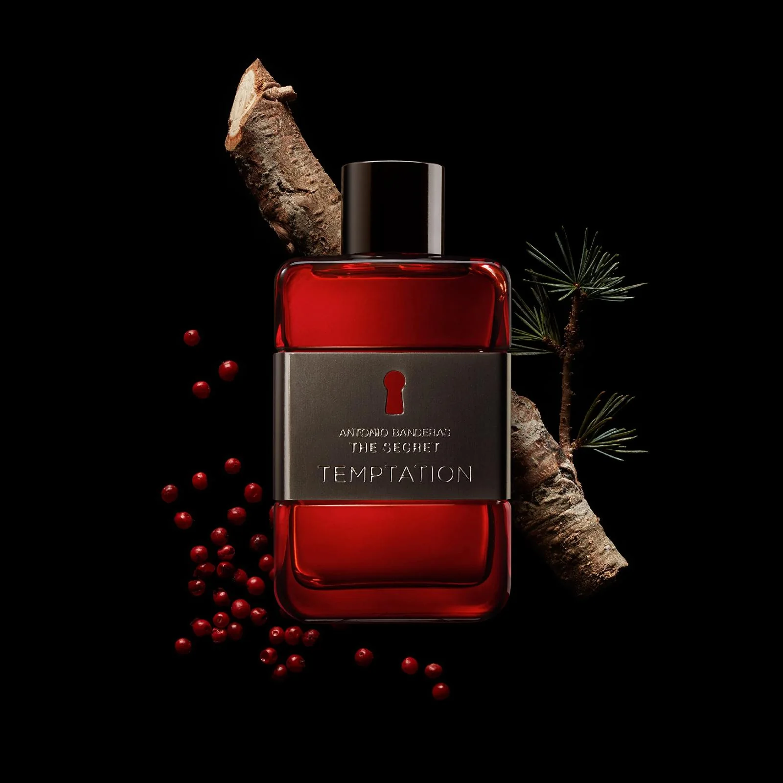 Antonio Banderas The Secret Temptation Eau de Toilette for Men - Image 8