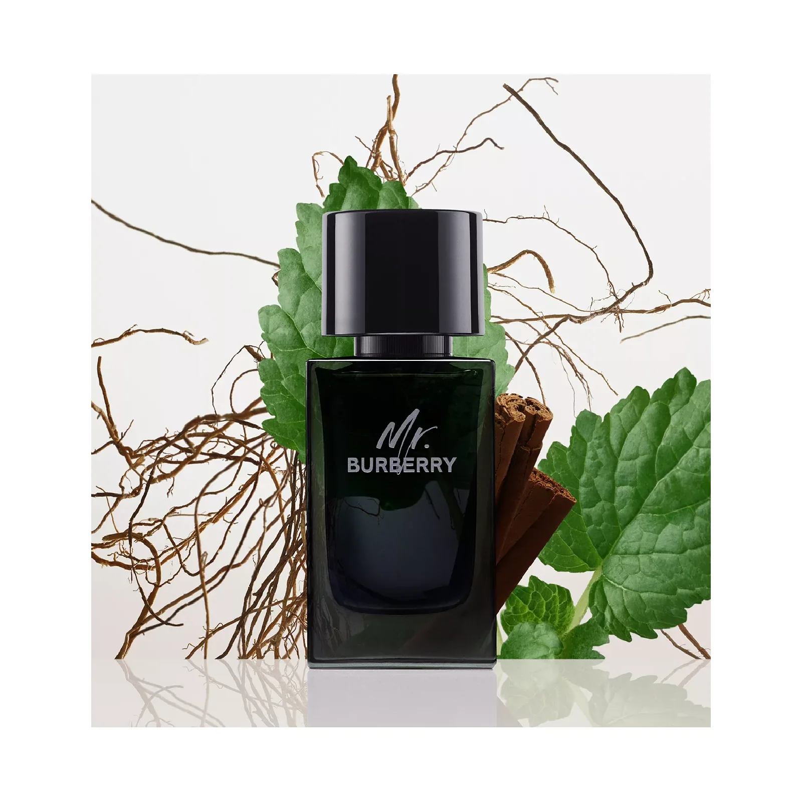 Burberry Mr. Burberry Eau de Parfum for Men - Image 5