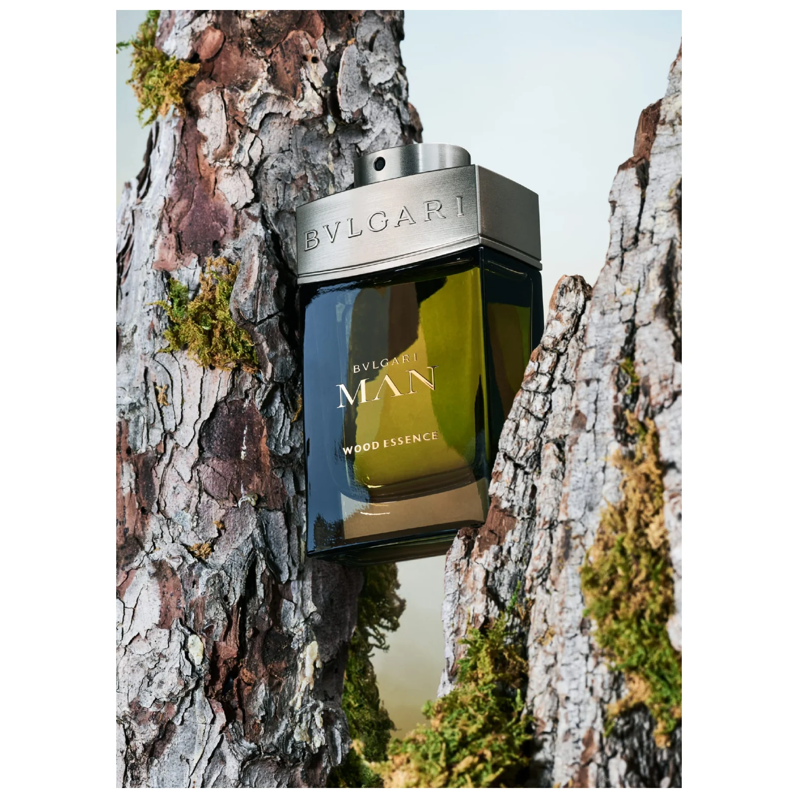 Bvlgari Wood Essence Eau de Parfum for Men - Image 7