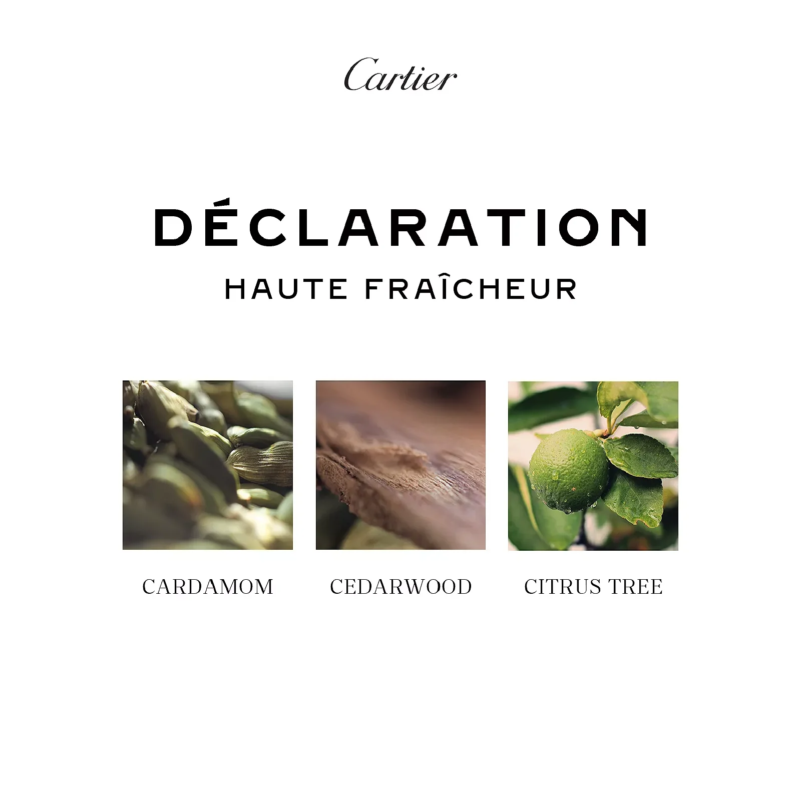 Cartier Declaration Haute Fraicheur Eau de Toilette for Men - Image 5