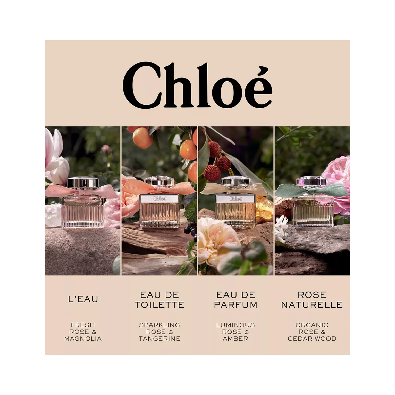 Chloe Eau de Parfum for Women - Image 13