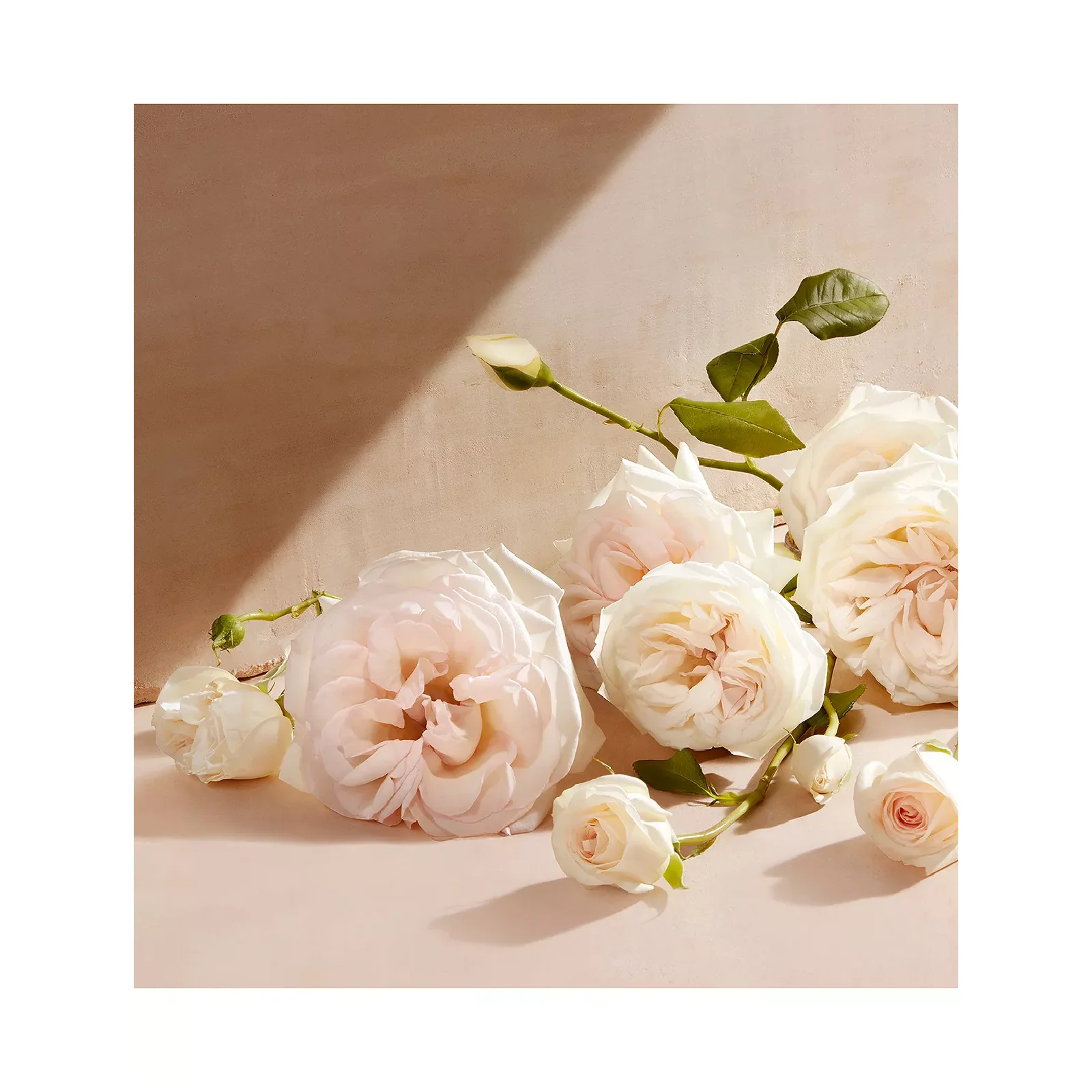 Chloe Eau de Parfum for Women - Image 15