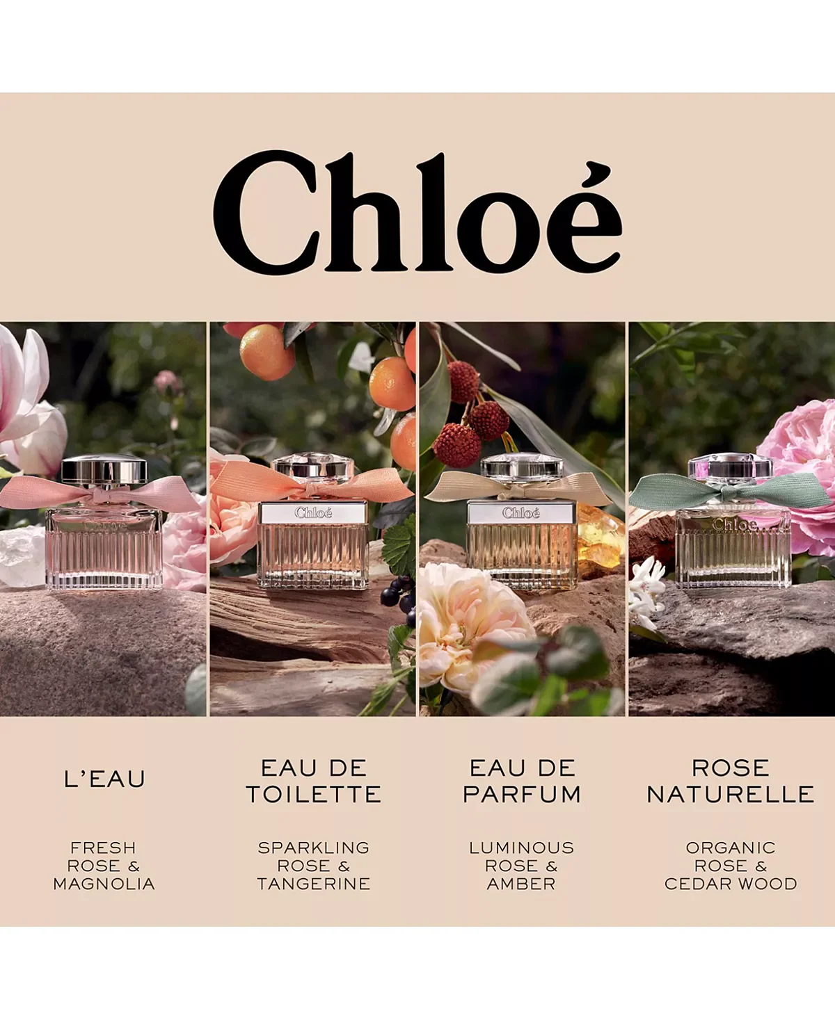 Chloe Eau de Parfum for Women - Image 31