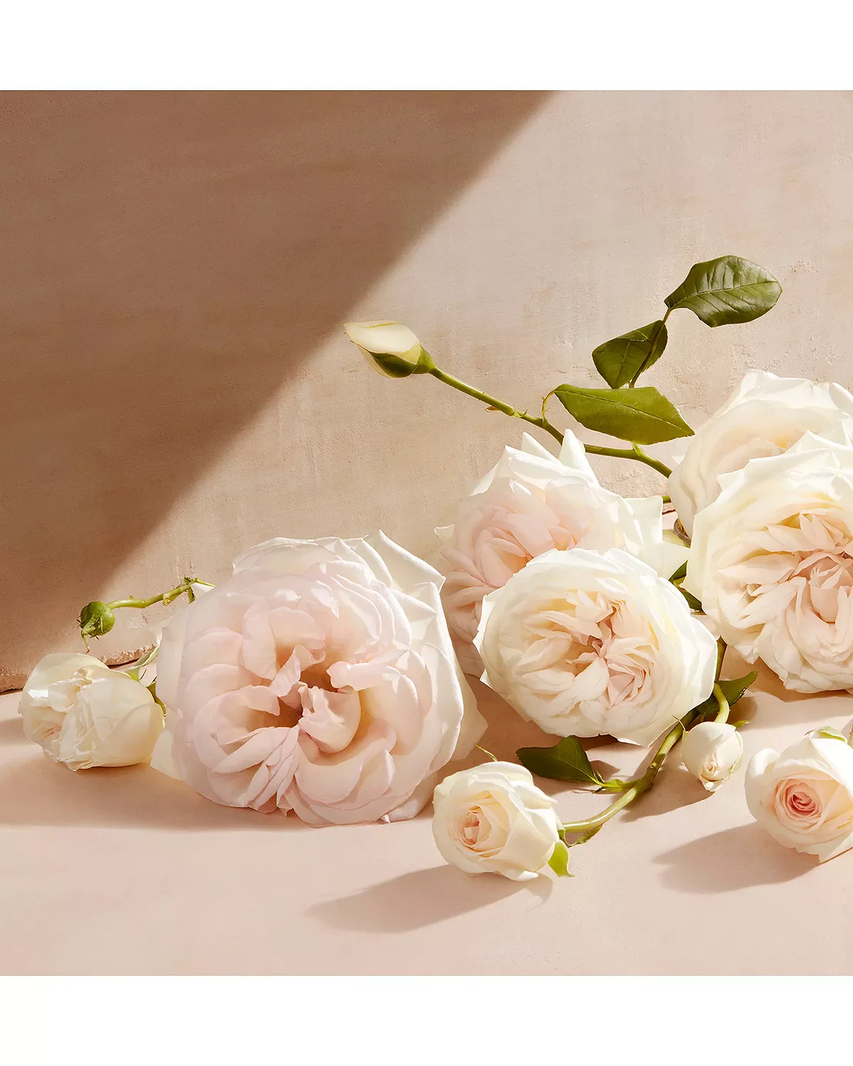 Chloe Eau de Parfum for Women - Image 33