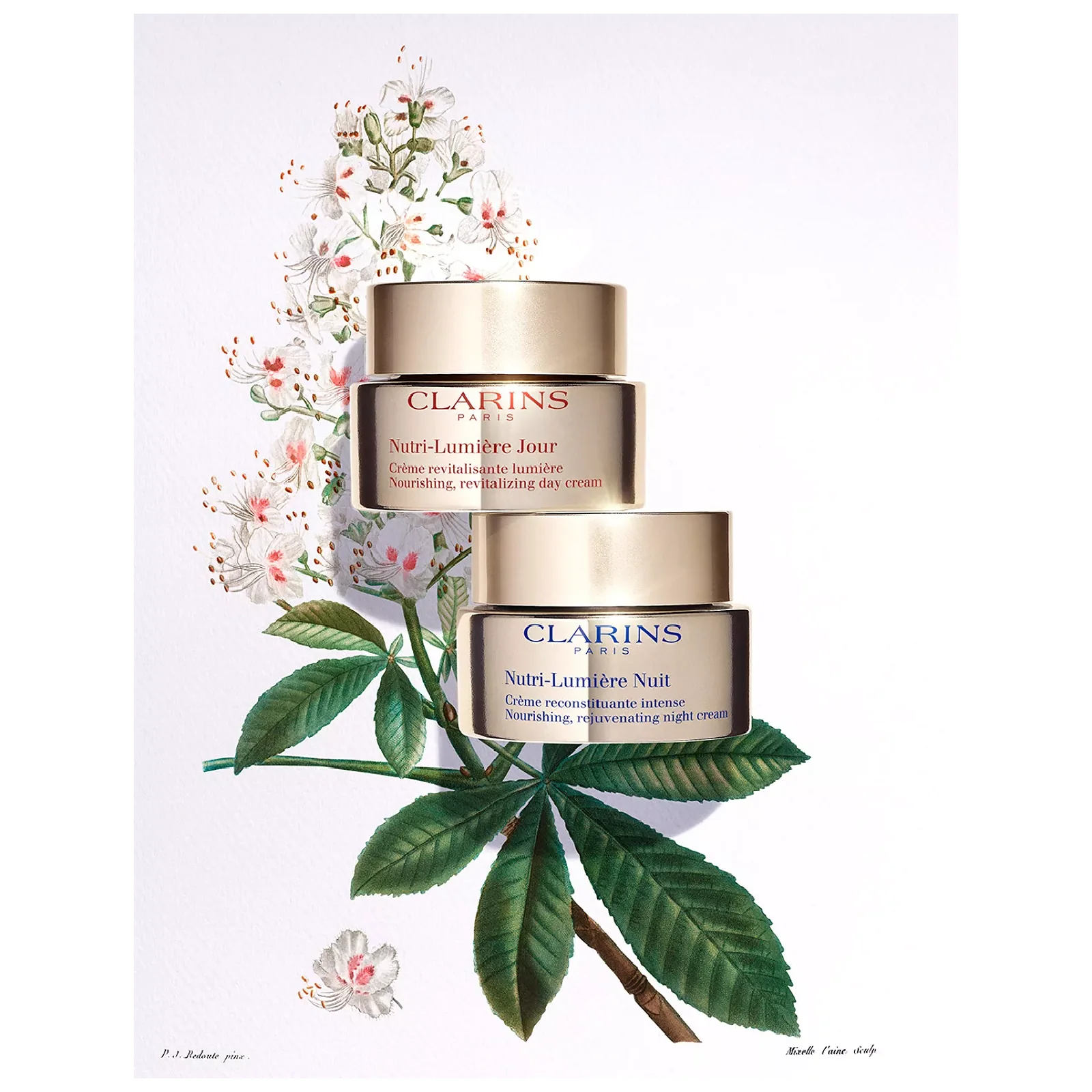 Clarins Nutri-Lumiere Jour Nourishing Revitalizing Day Cream - Image 3