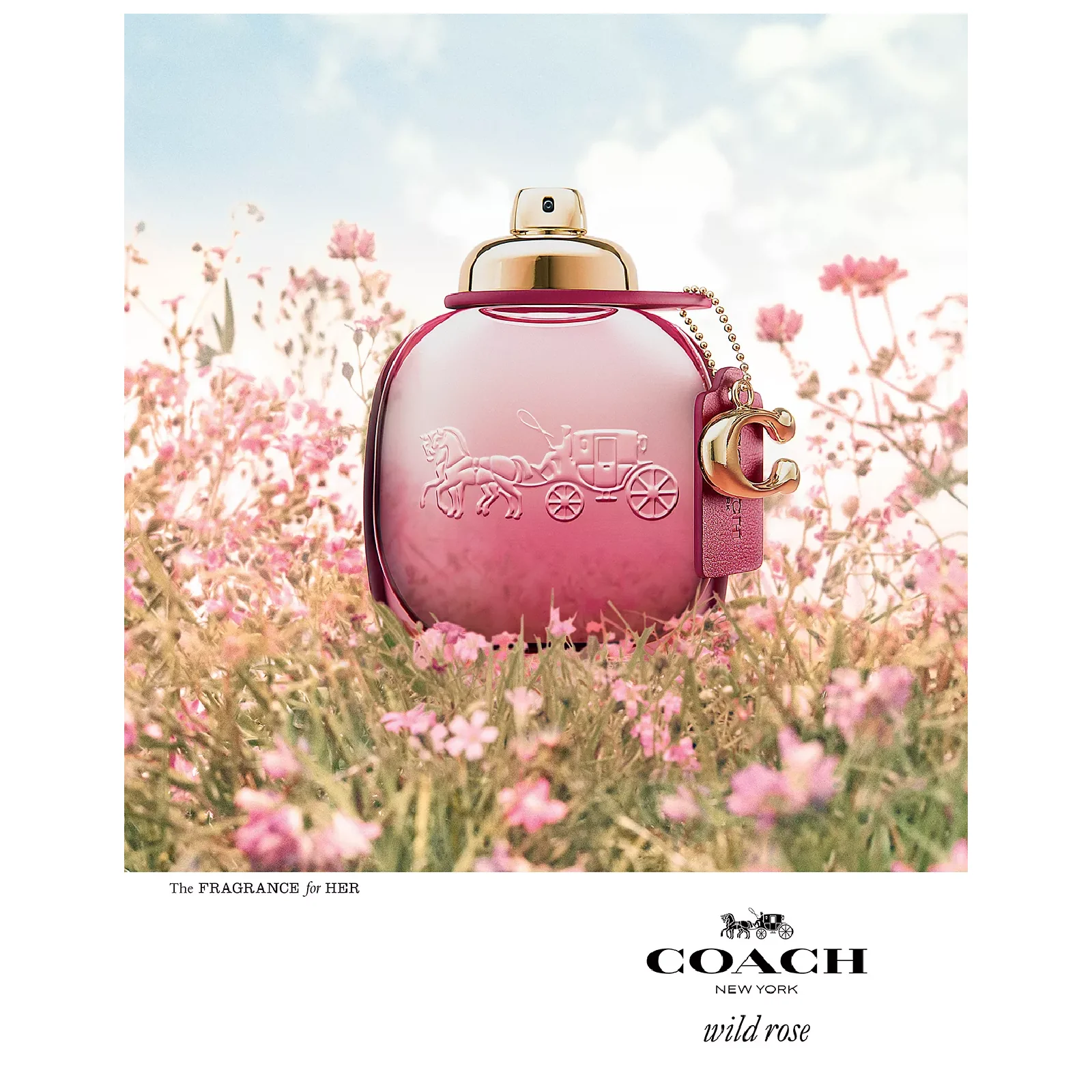 Coach Wild Rose Eau de Parfum for Women - Image 3