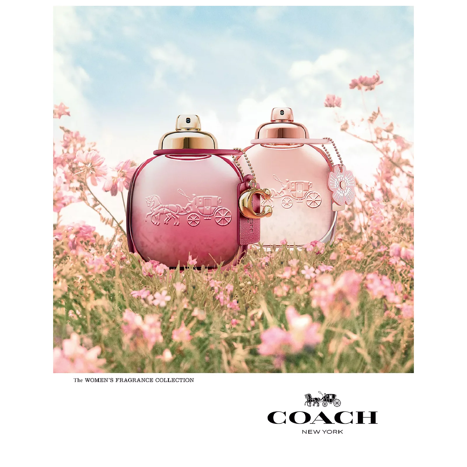 Coach Wild Rose Eau de Parfum for Women - Image 5
