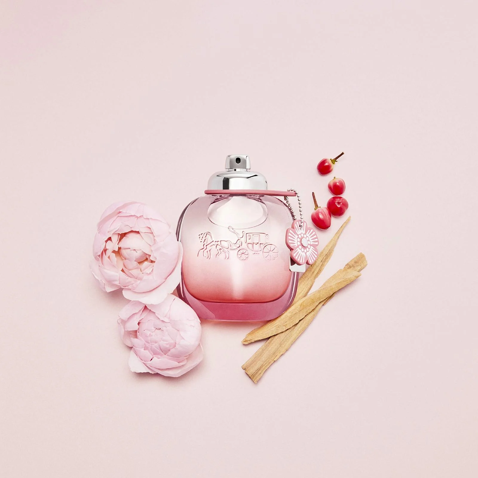 Coach Floral Blush Eau de Parfum for Women - Image 5