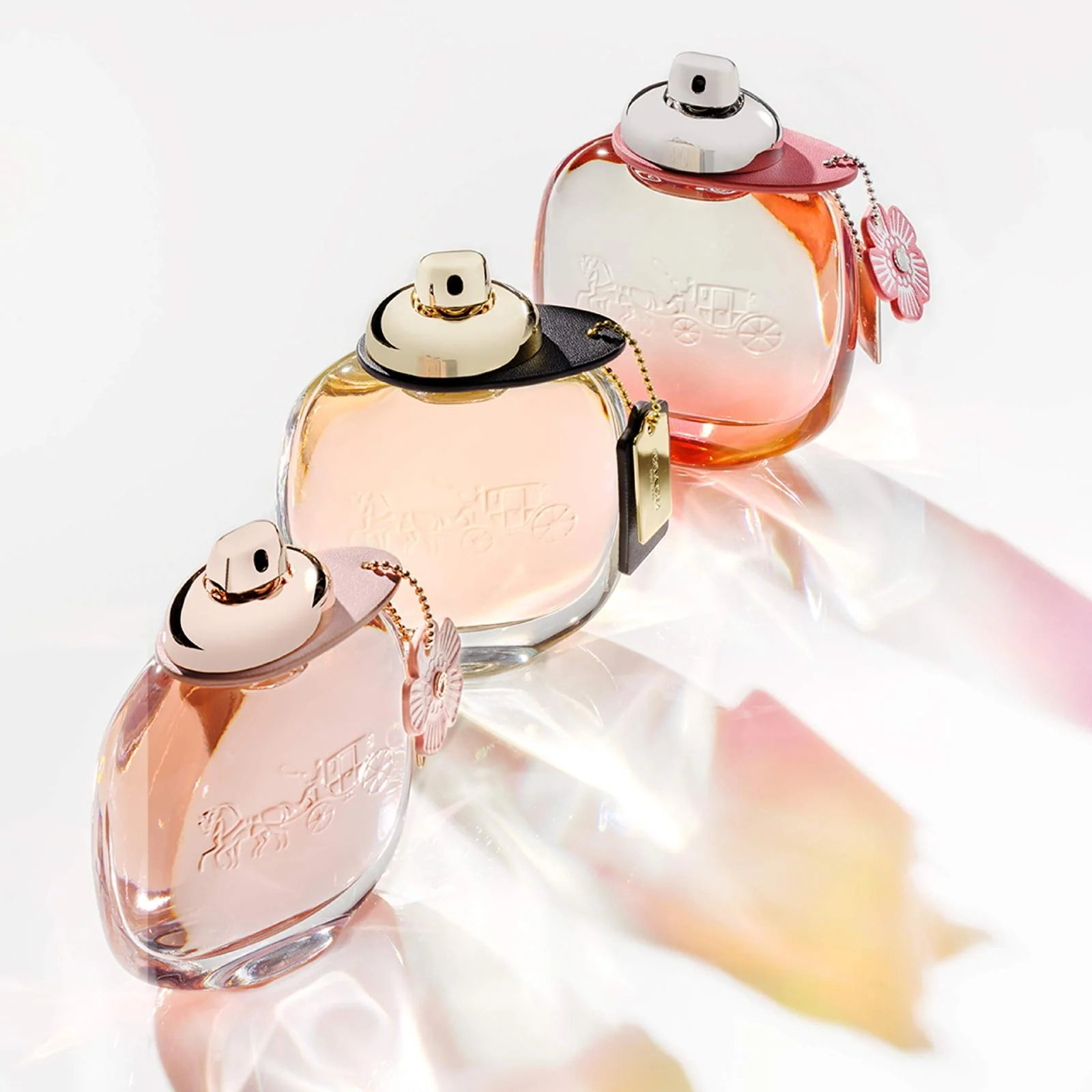 Coach Floral Blush Eau de Parfum for Women - Image 7