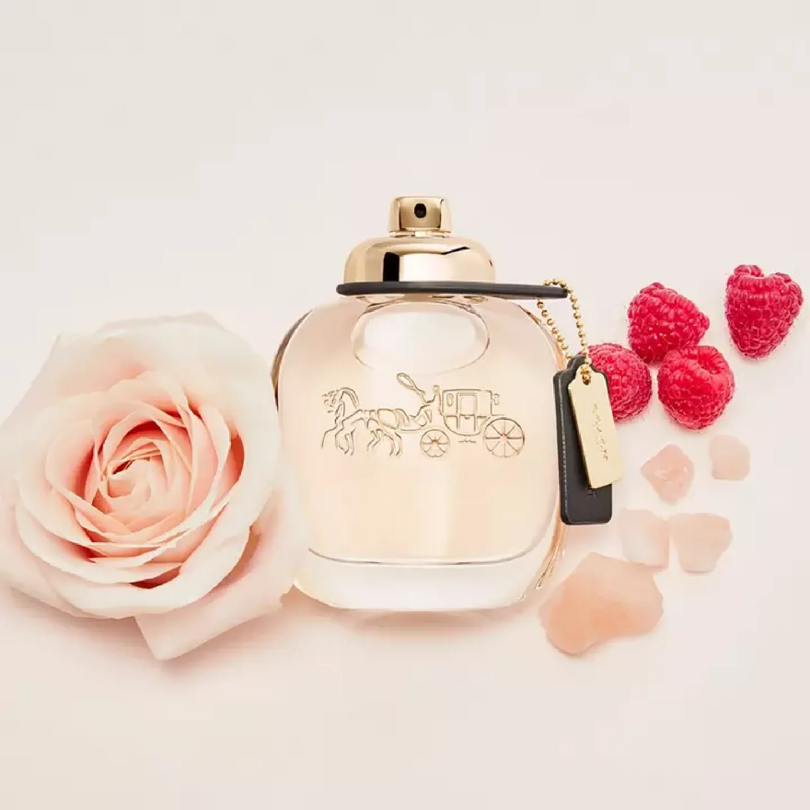 Coach New York Eau de Parfum for Women - Image 6