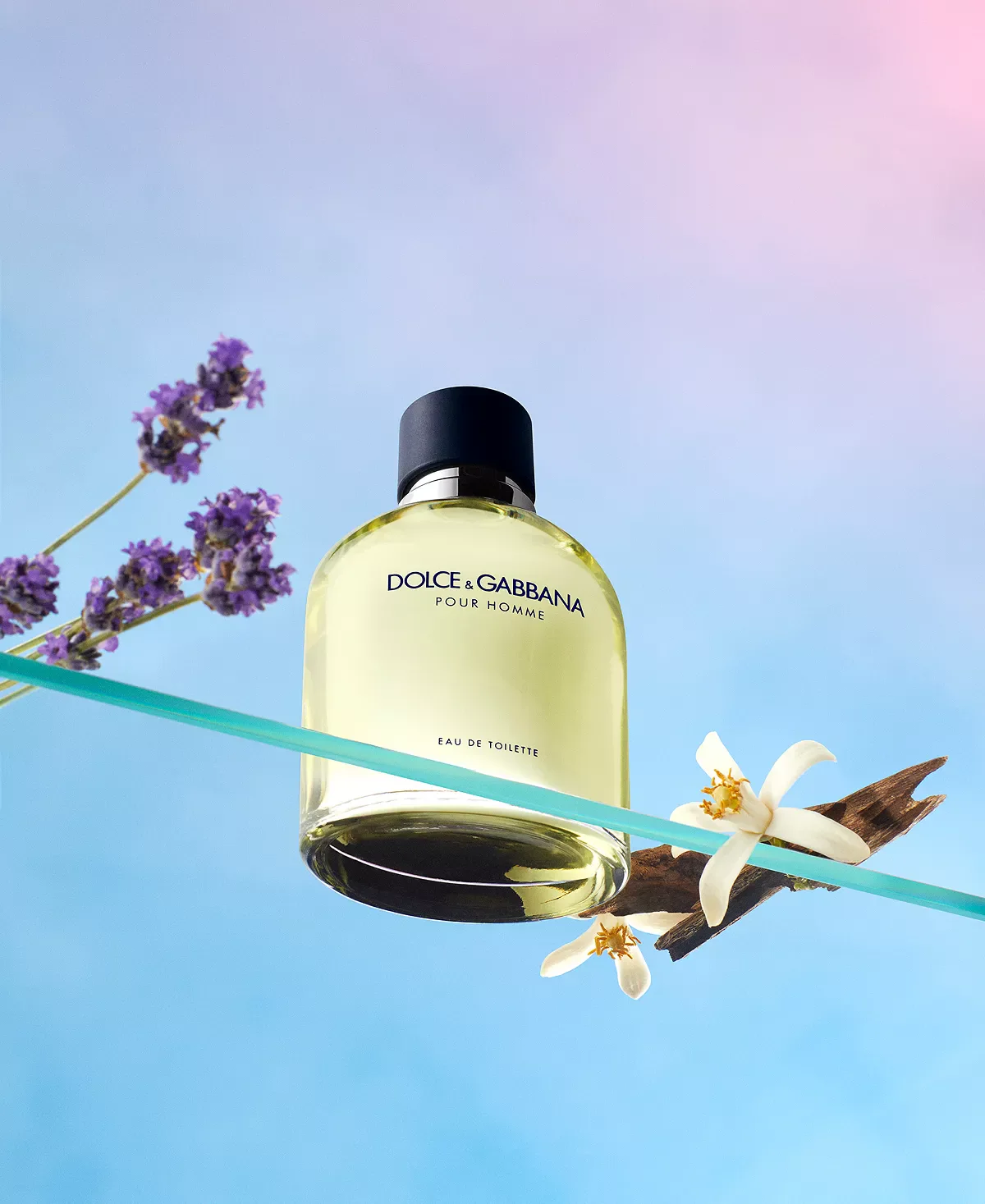 Dolce & Gabbana Pour Homme Eau de Toilette for Men - Image 13