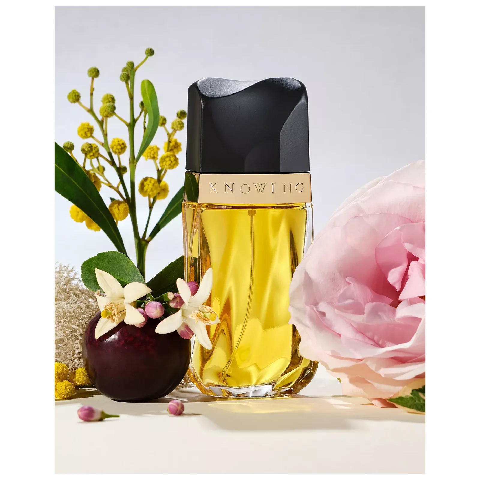 Estee Lauder Knowing Eau de Parfum for Women - Image 3