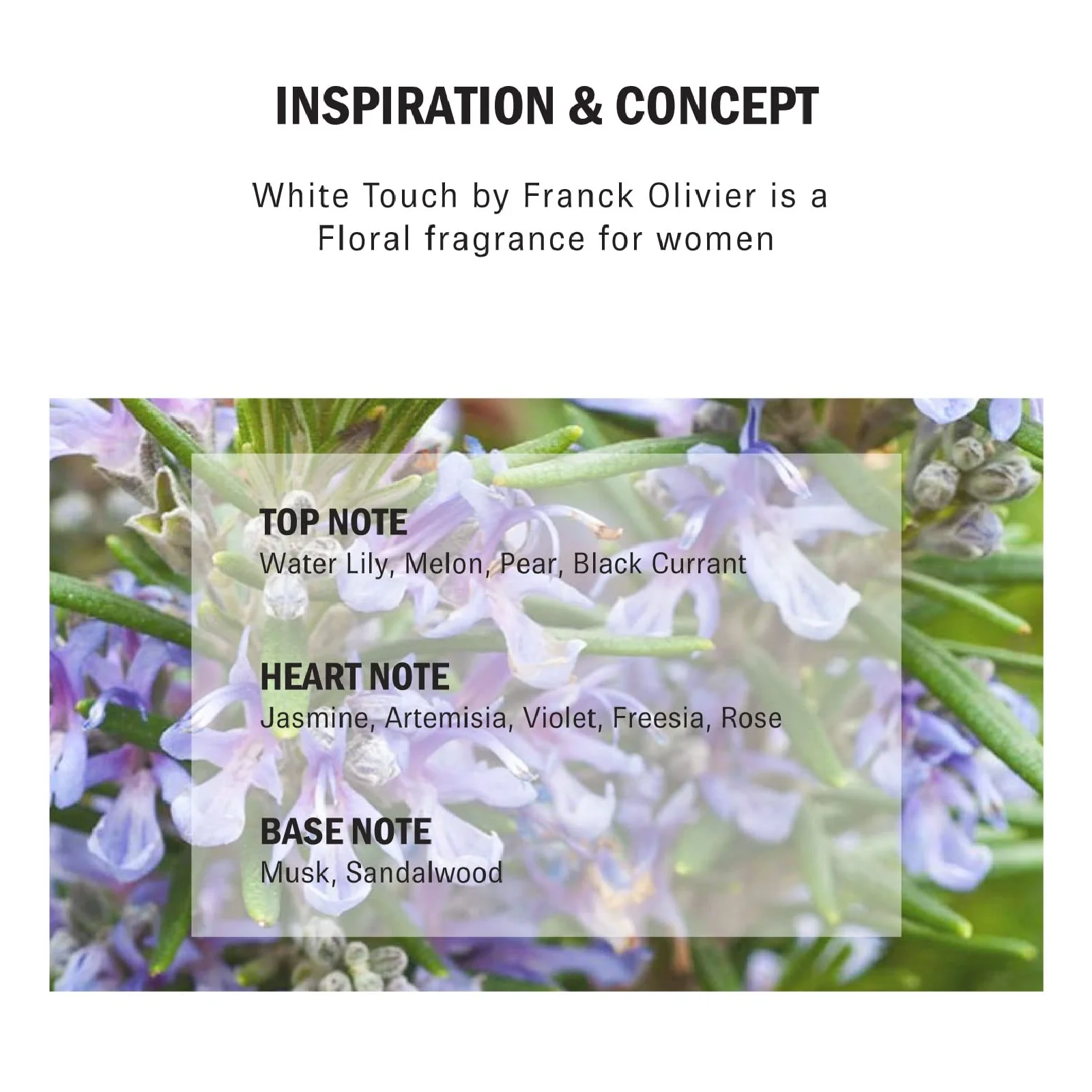 Franck Olivier White Touch Eau de Parfum for Women - Image 5
