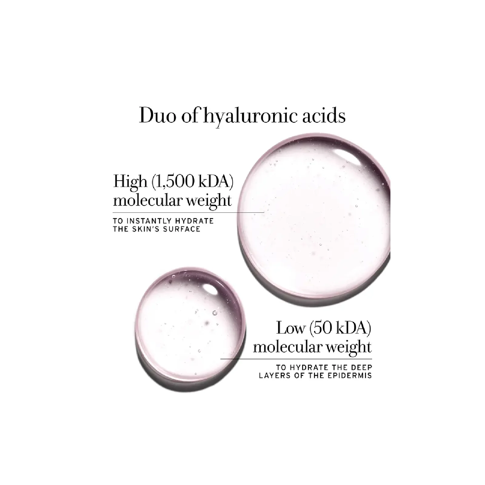 Fresh Rose Deep Hydration Face Cream for Women - Image 5