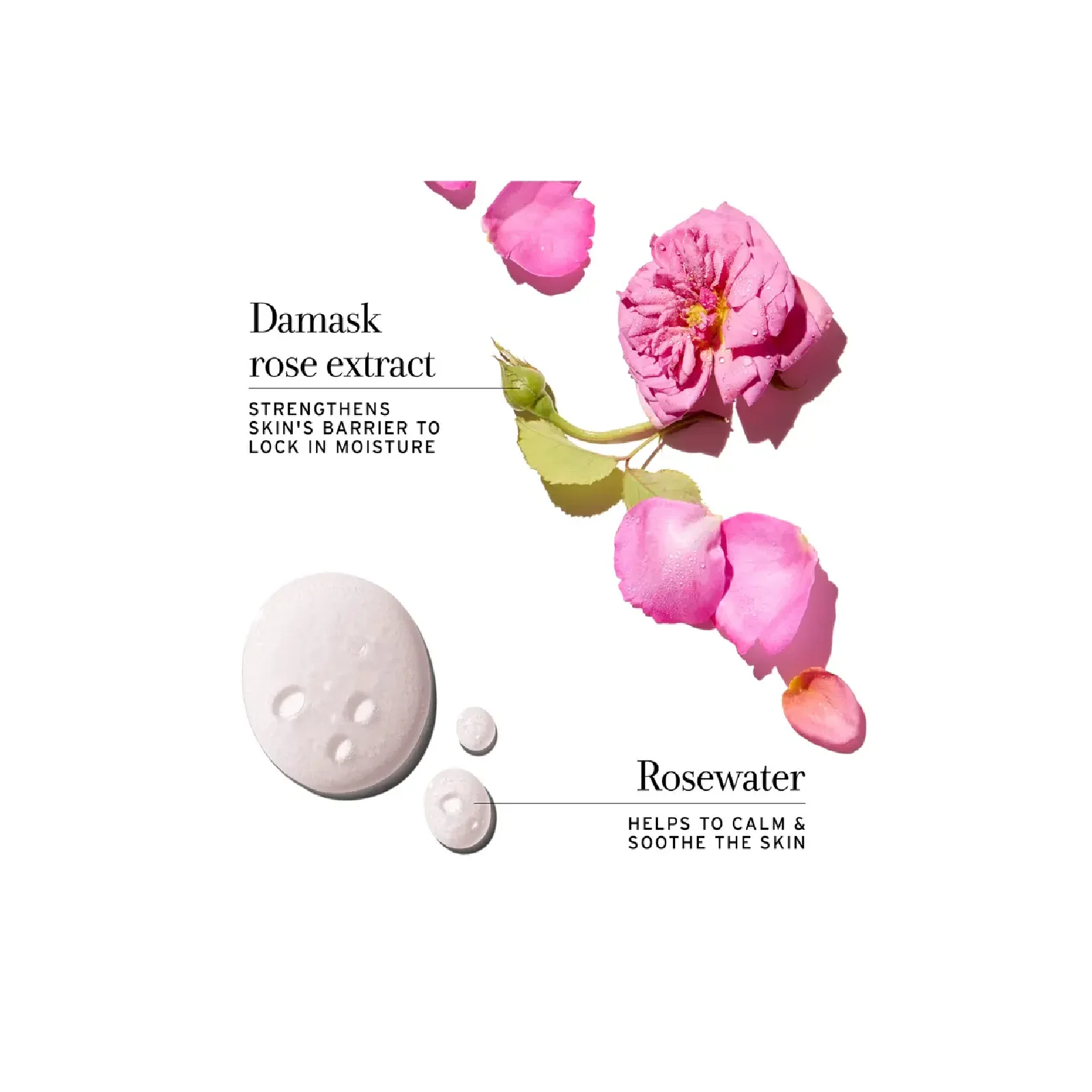 Fresh Rose Deep Hydration Face Cream for Women - Image 6