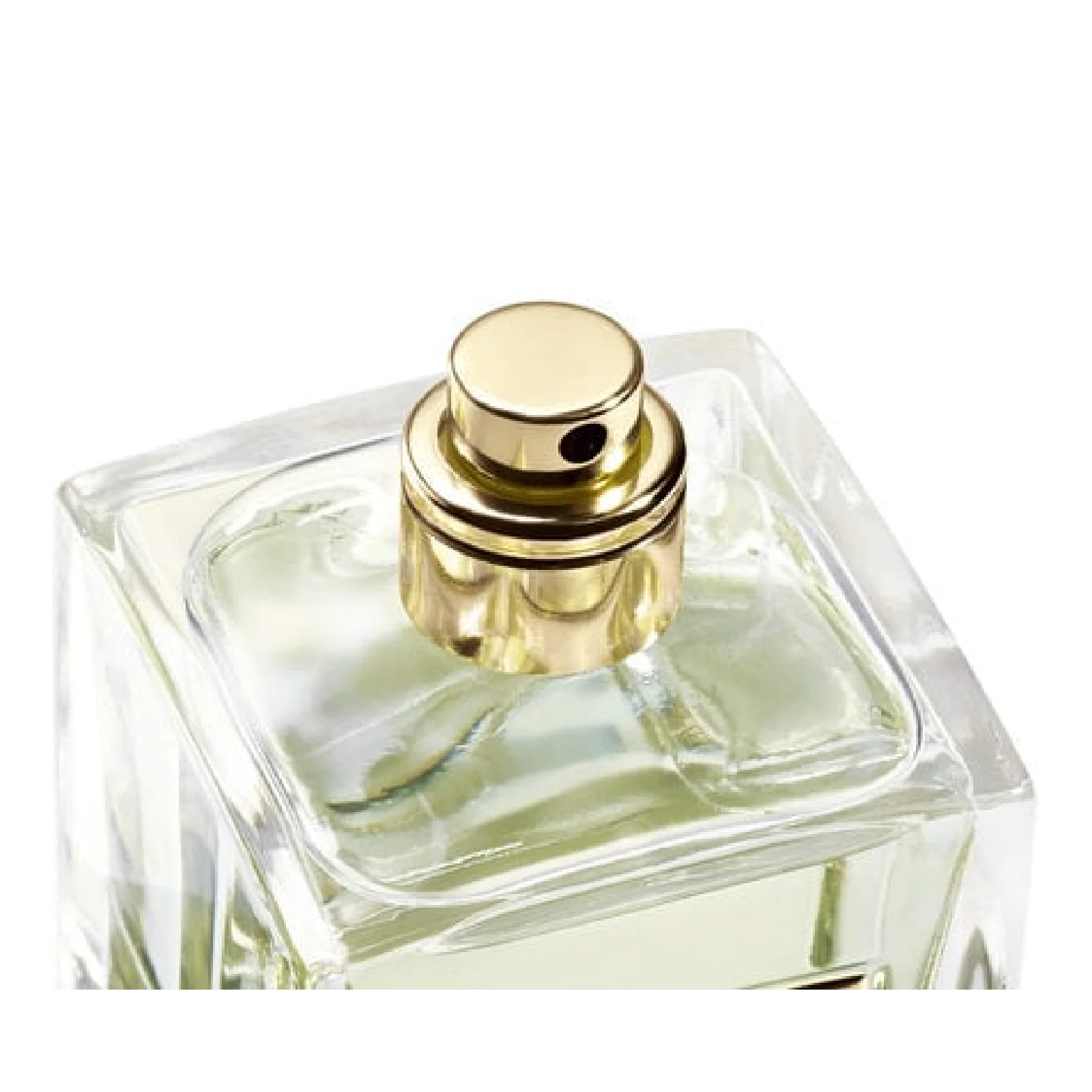 Giorgio Armani Prive Thé Yulong Eau de Toilette for Everyone - Image 3