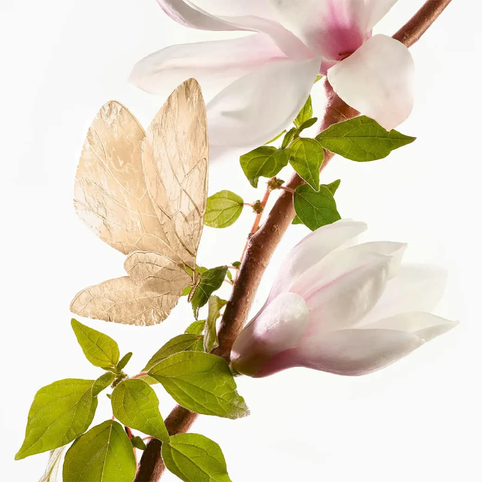 Goutal Un Matin D'orage Eau de Toilette for Women - Image 3