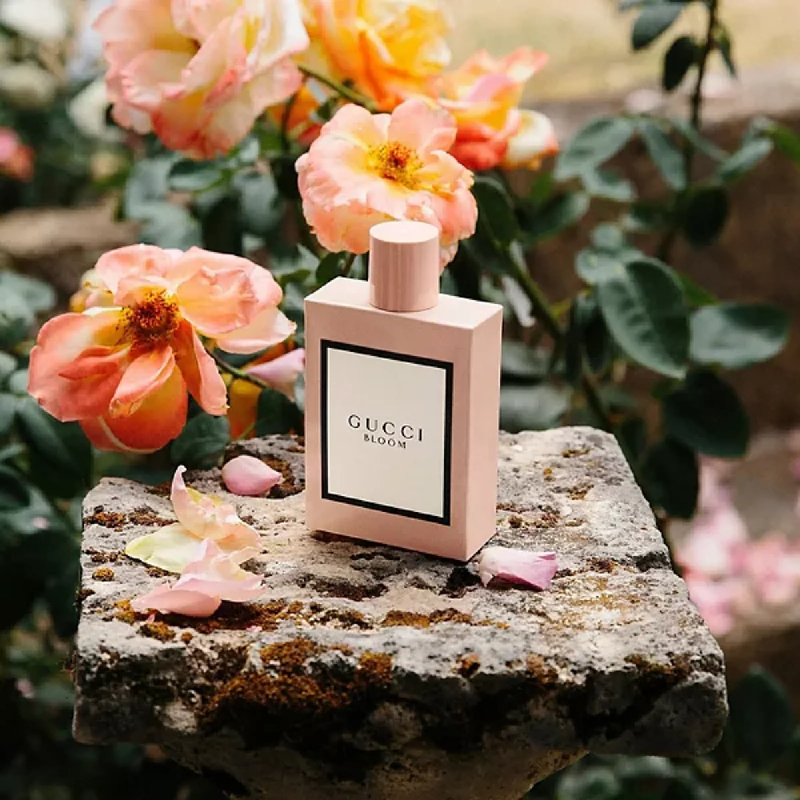 Gucci Bloom Eau de Parfum for Women - Image 7