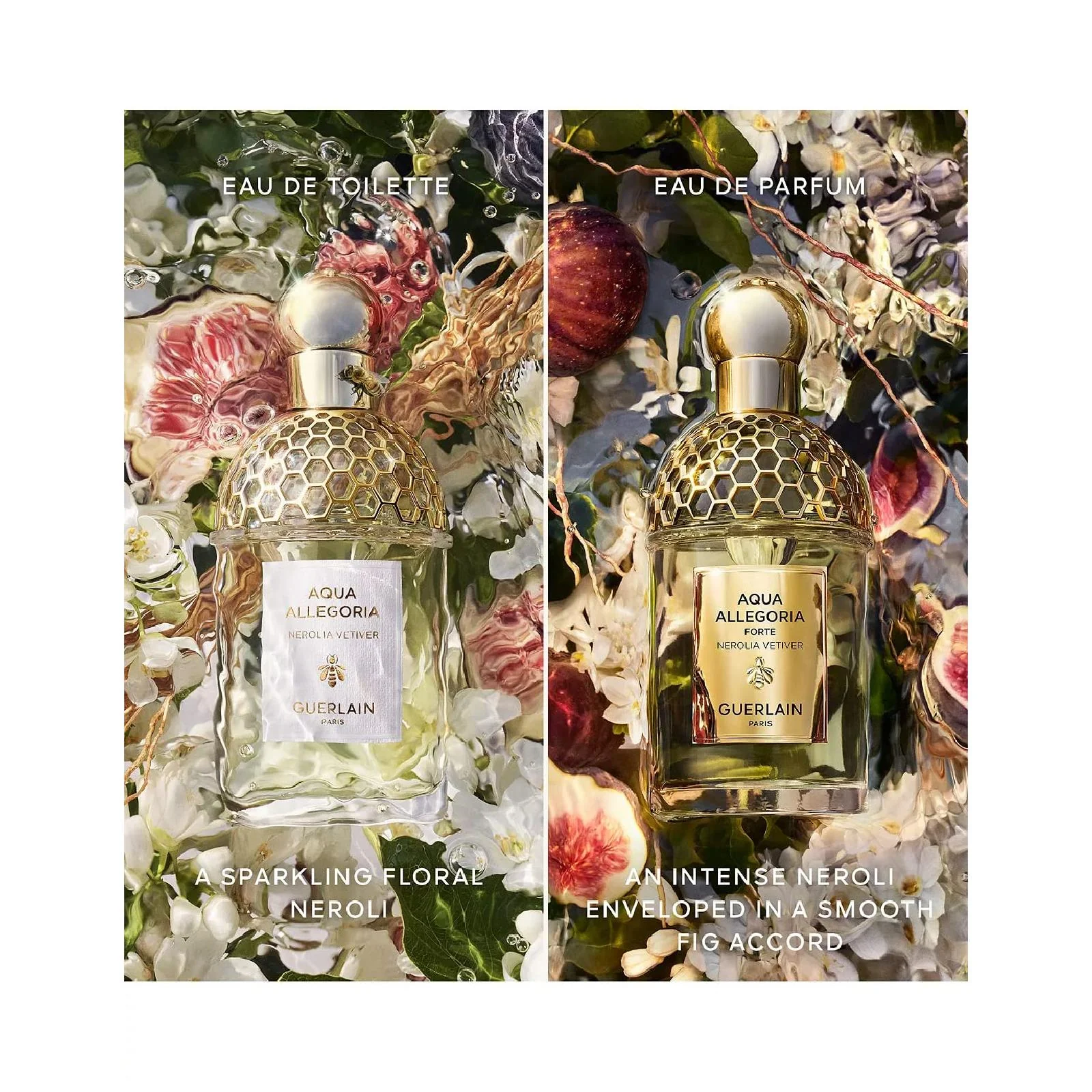 Guerlain Aqua Allegoria Forte Nerolia Vetiver Eau de Parfum for Everyone - Image 5