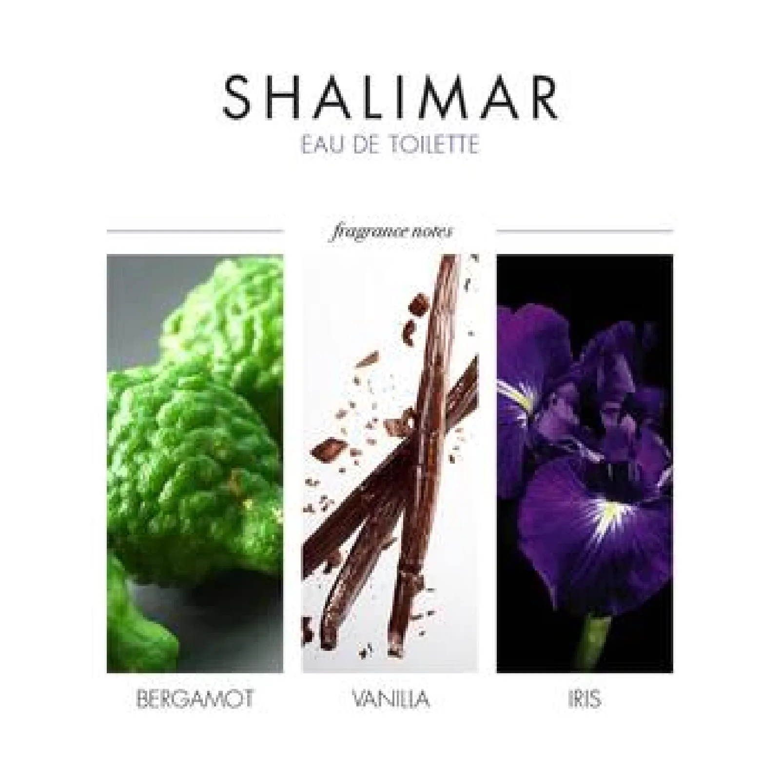 Guerlain Shalimar Eau de Toilette for Women - Image 5