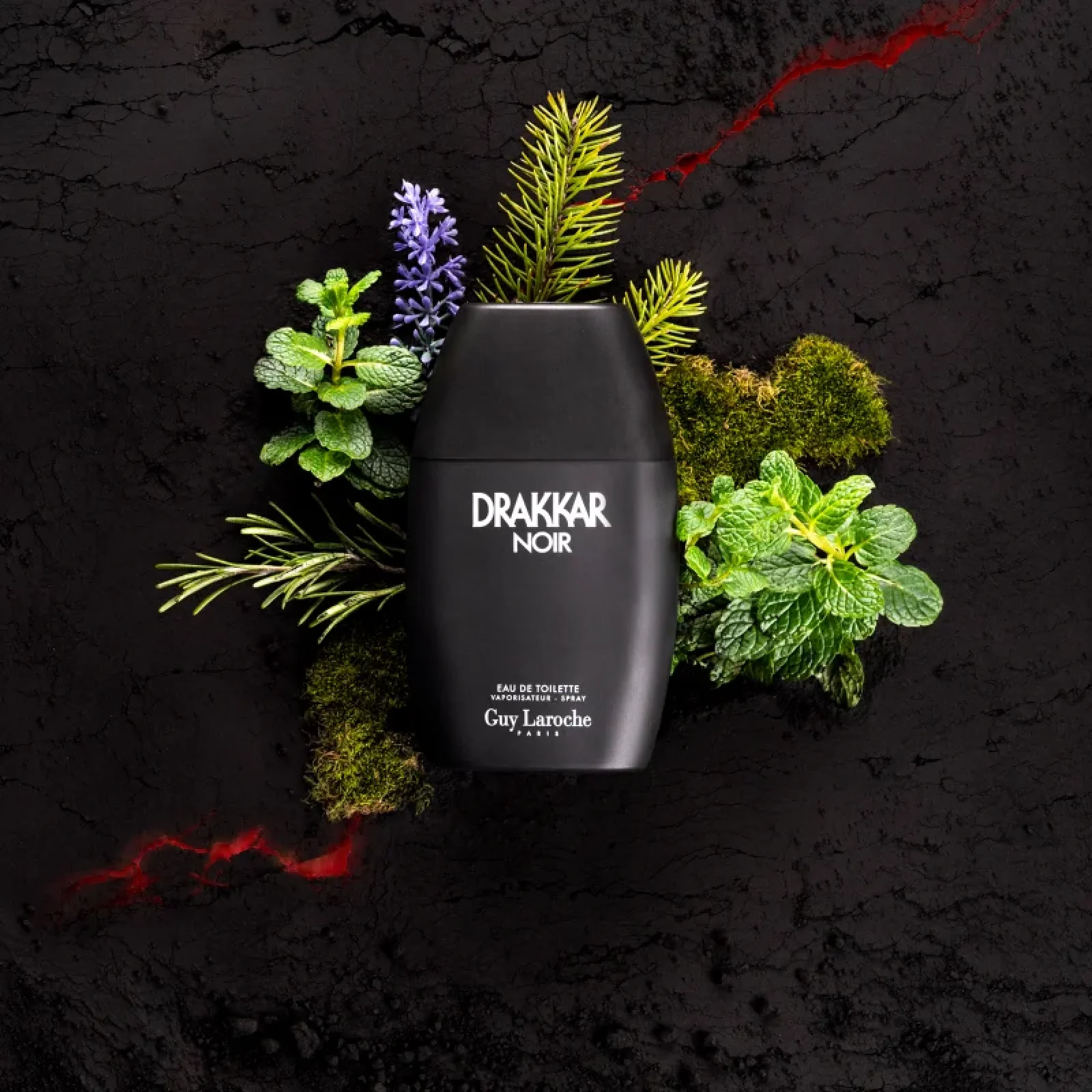 Guy Laroche Drakkar Noir Eau de Toilette for Men - Image 3