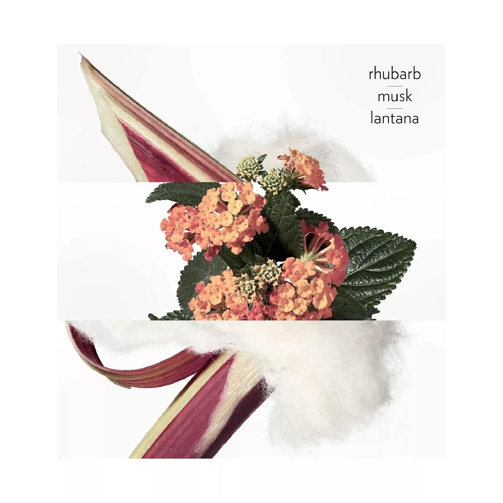 Hermes Eau De Rhubarbe Ecarlate - Image 4