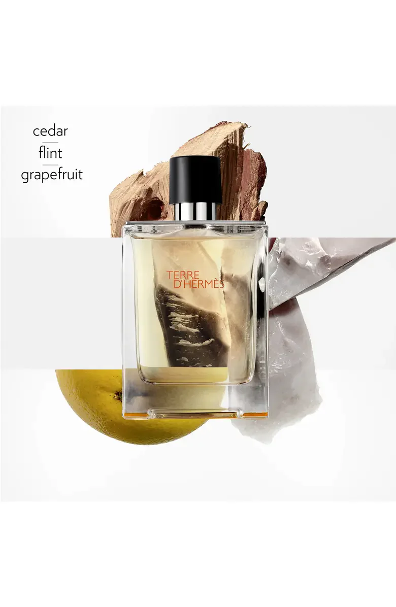 Hermes Terre D'hermes Eau de Toilette for Men - Image 36
