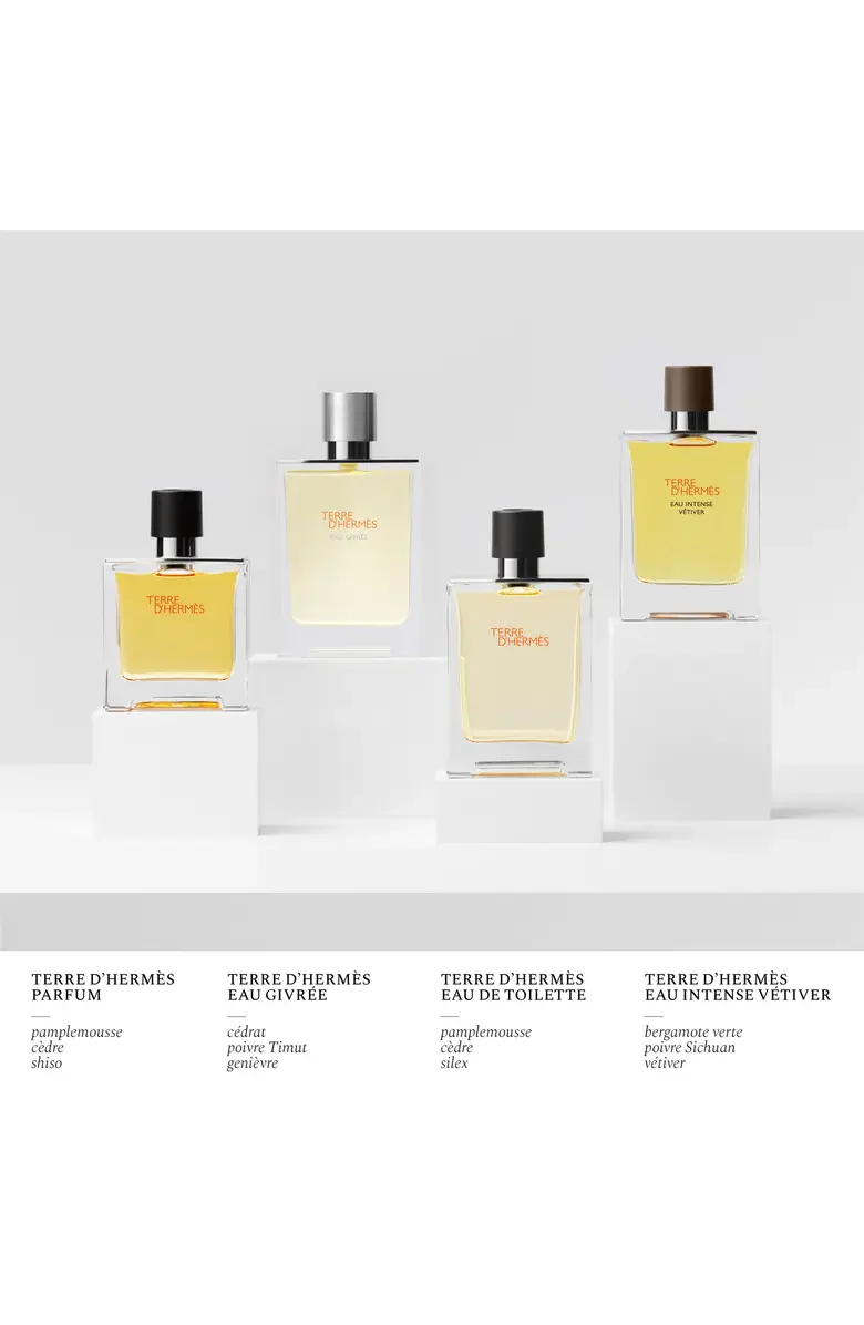 Hermes Terre D'hermes Eau de Toilette for Men - Image 37