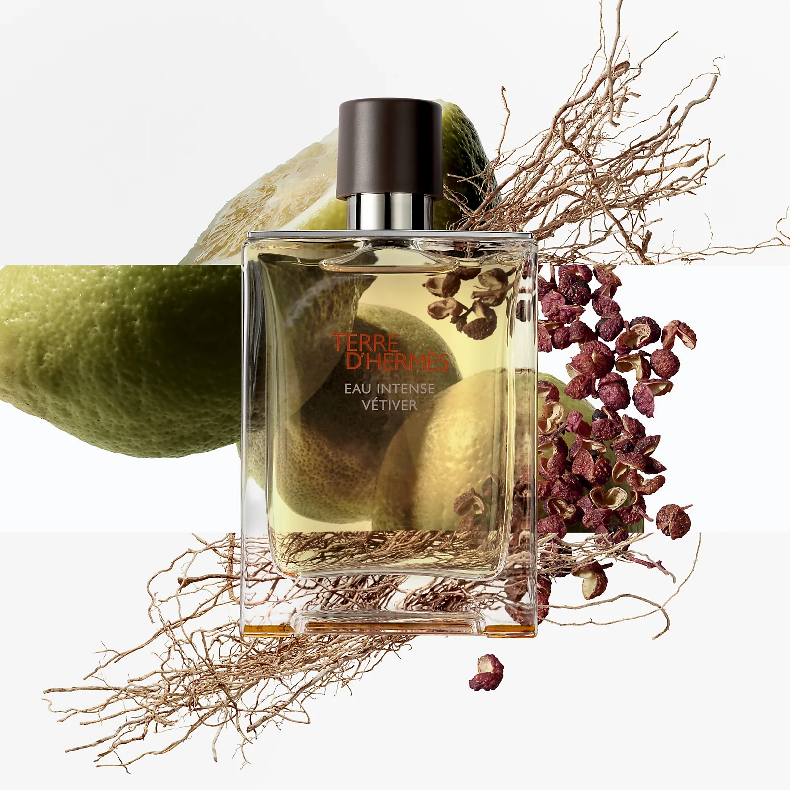 Hermes Terre D'hermes Eau Intense Vetiver Eau de Parfum for Men - Image 6