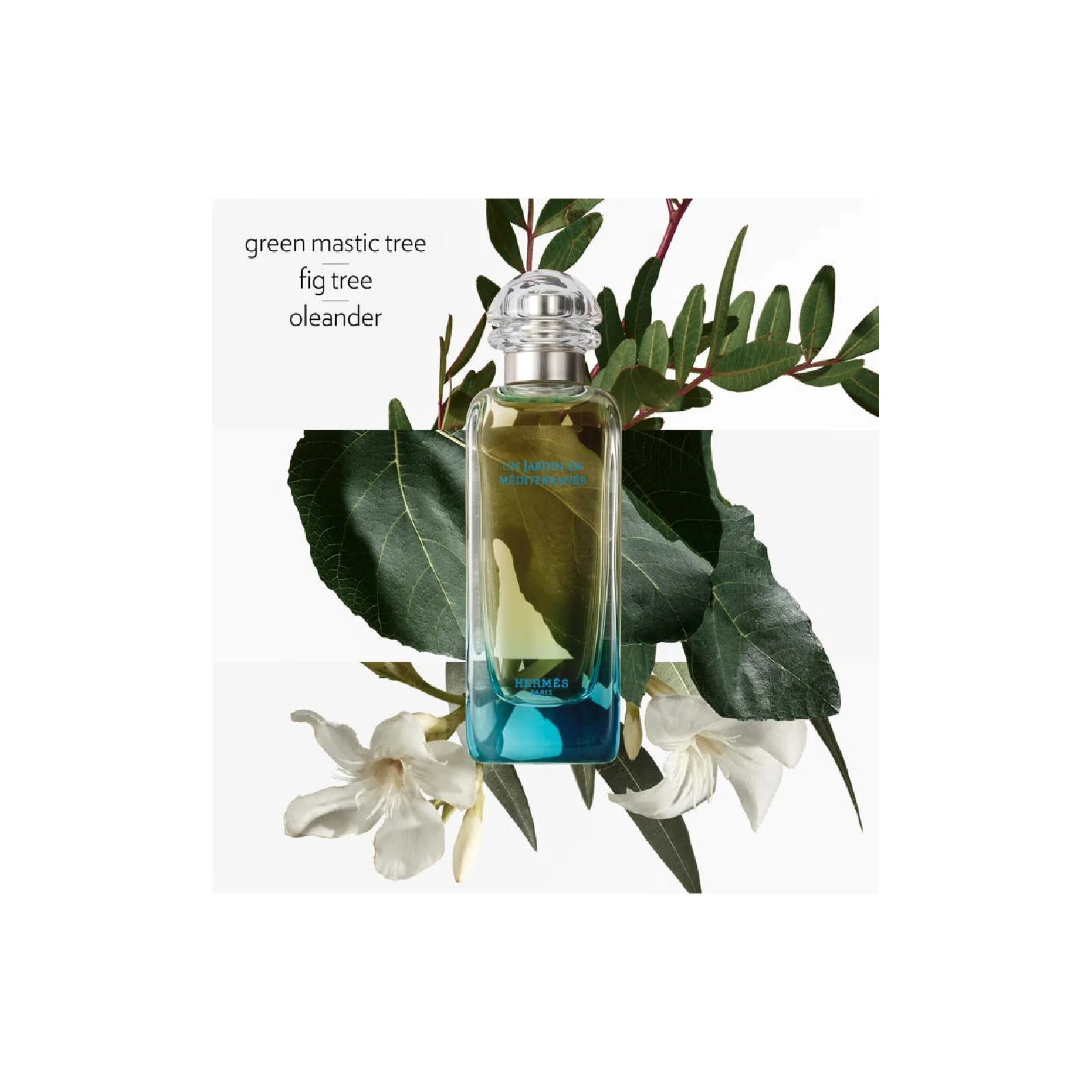Hermes Un Jardin Mediterranee Eau de Toilette for Everyone - Image 4