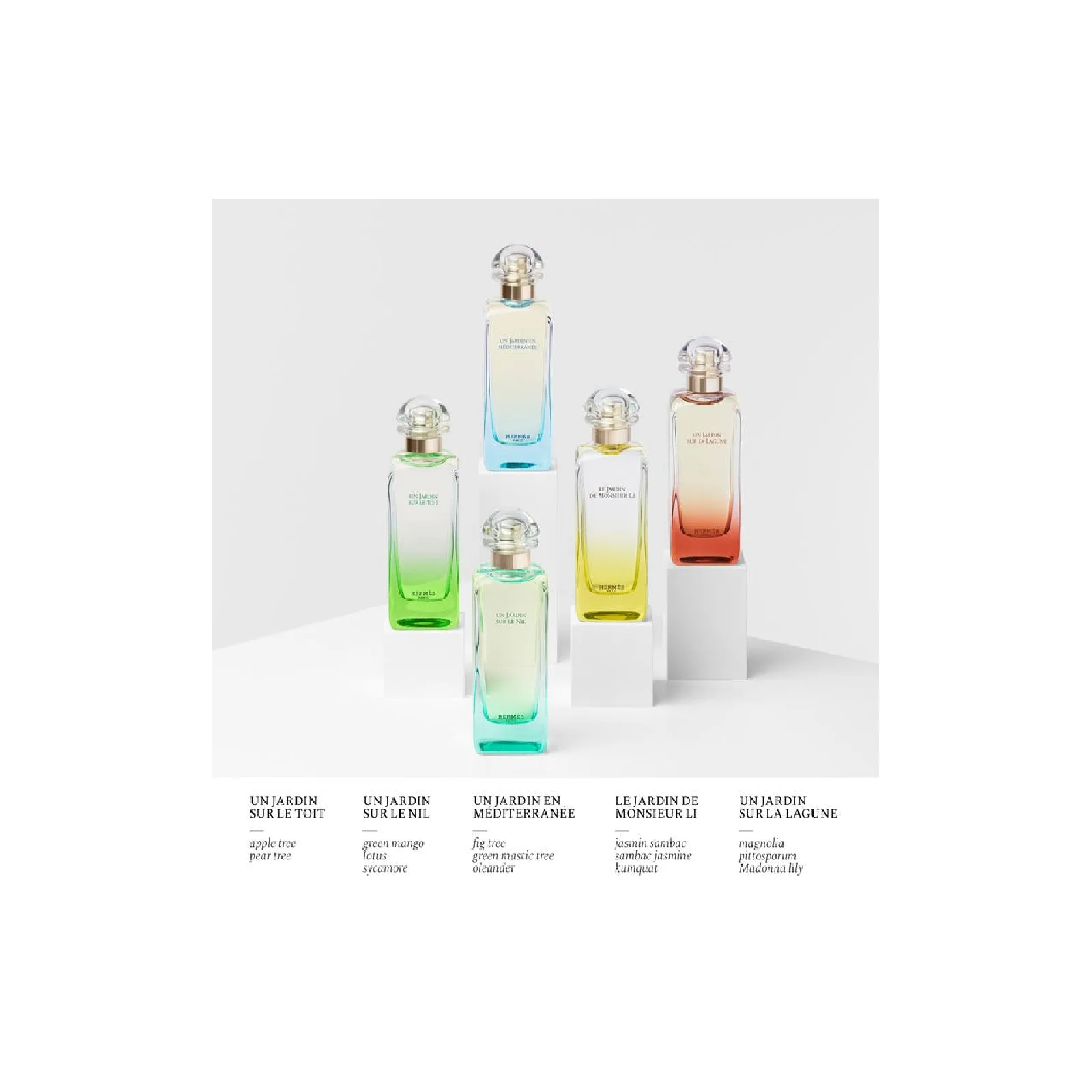 Hermes Un Jardin Mediterranee Eau de Toilette for Everyone - Image 5