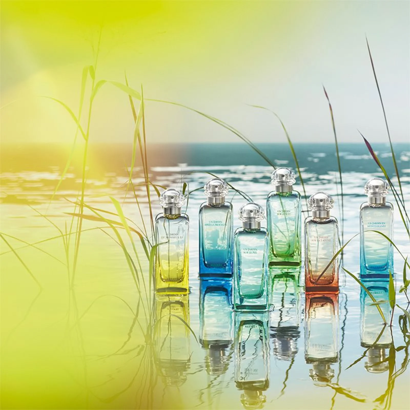 Hermes Un Jardin Mediterranee Eau de Toilette for Everyone - Image 8