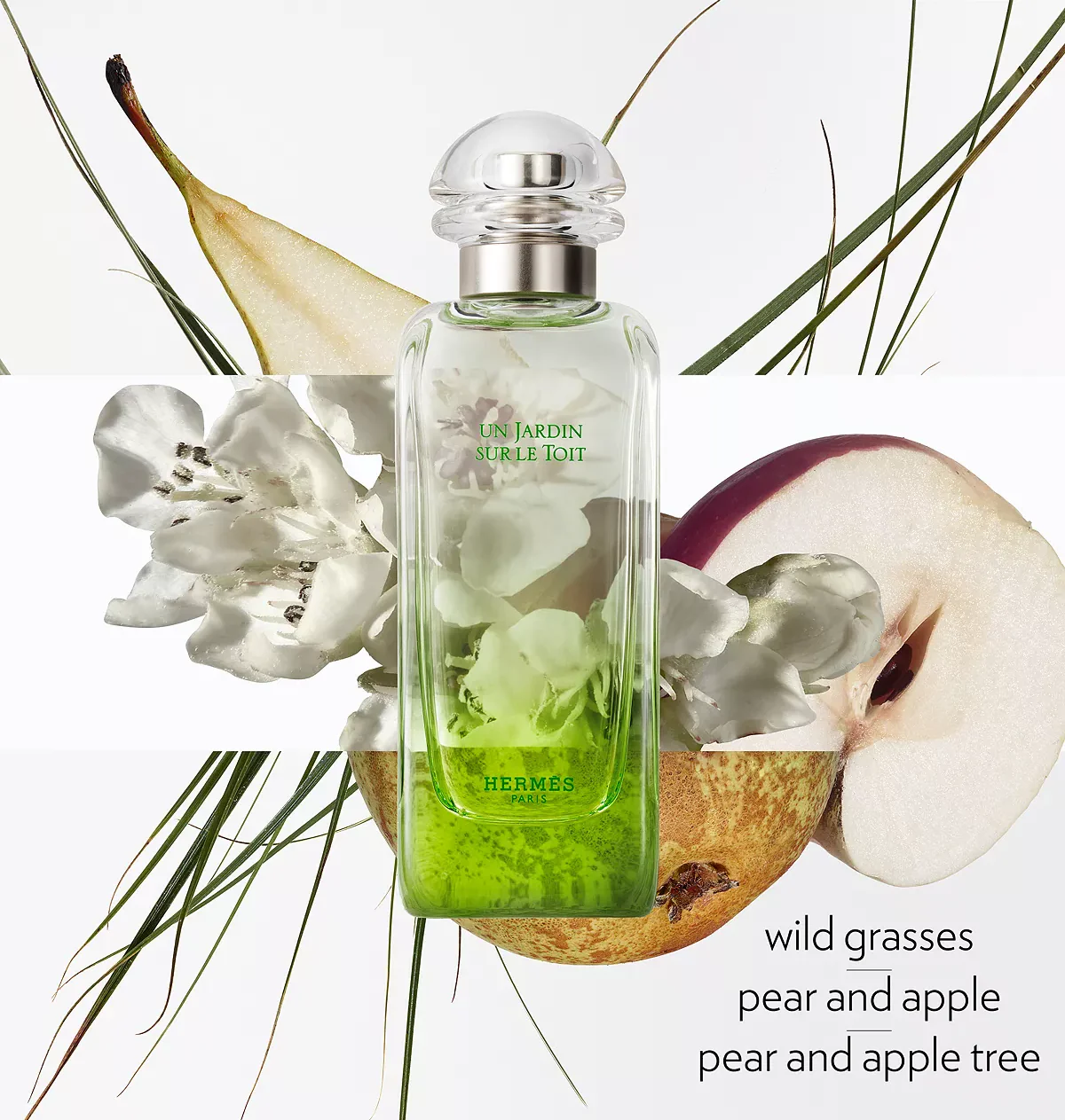 Hermes Un Jardin Sur Le Toit Eau de Toilette for Women - Image 10