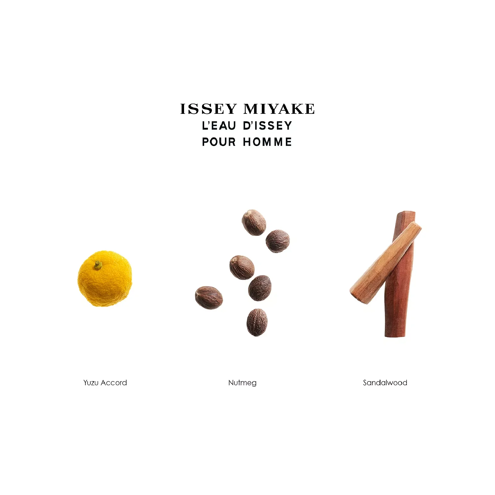 Issey Miyake Leau D Issey Eau de Toilette for Men - Image 2