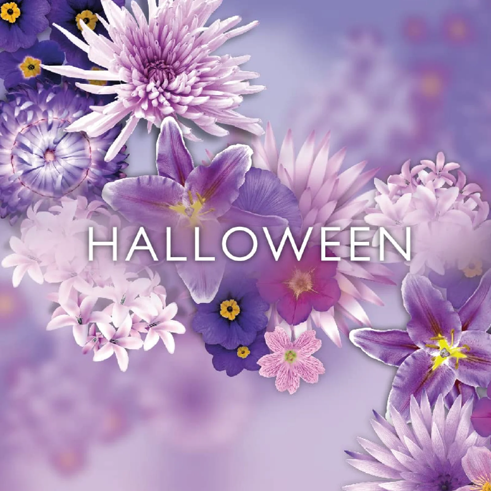 Jesus Del Pozo Halloween Eau de Toilette for Women - Image 4