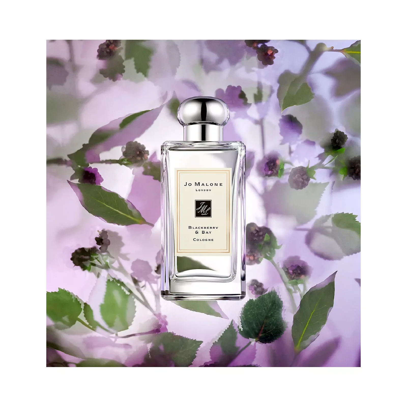 Jo Malone Blackberry & Bay Cologne Eau de Cologne for Women - Image 3
