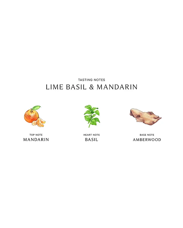 Jo Malone Lime Basil & Mandarin Body Lotion - Image 6