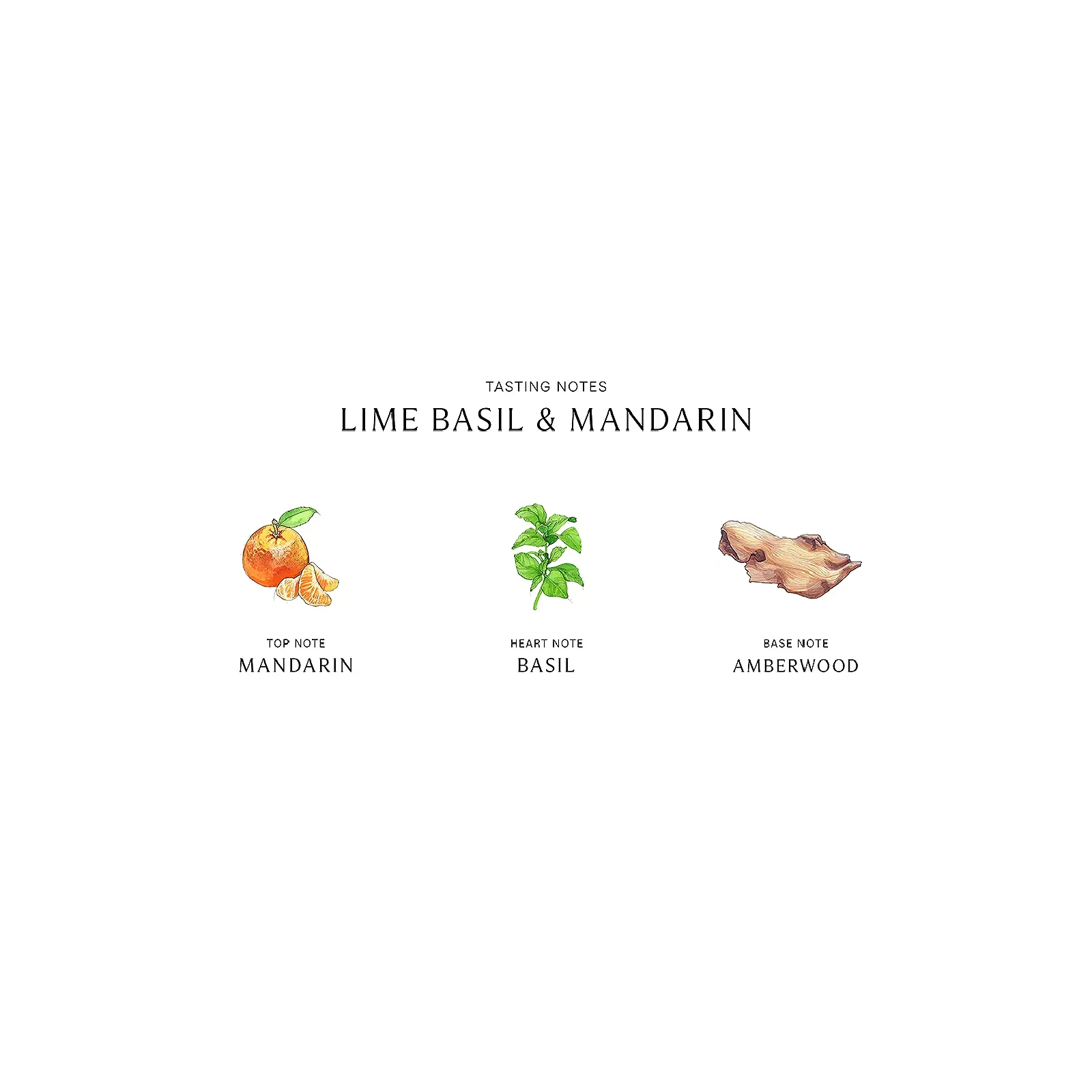 Jo Malone Lime Basil & Mandarin Cologne Eau de Cologne for Women - Image 3