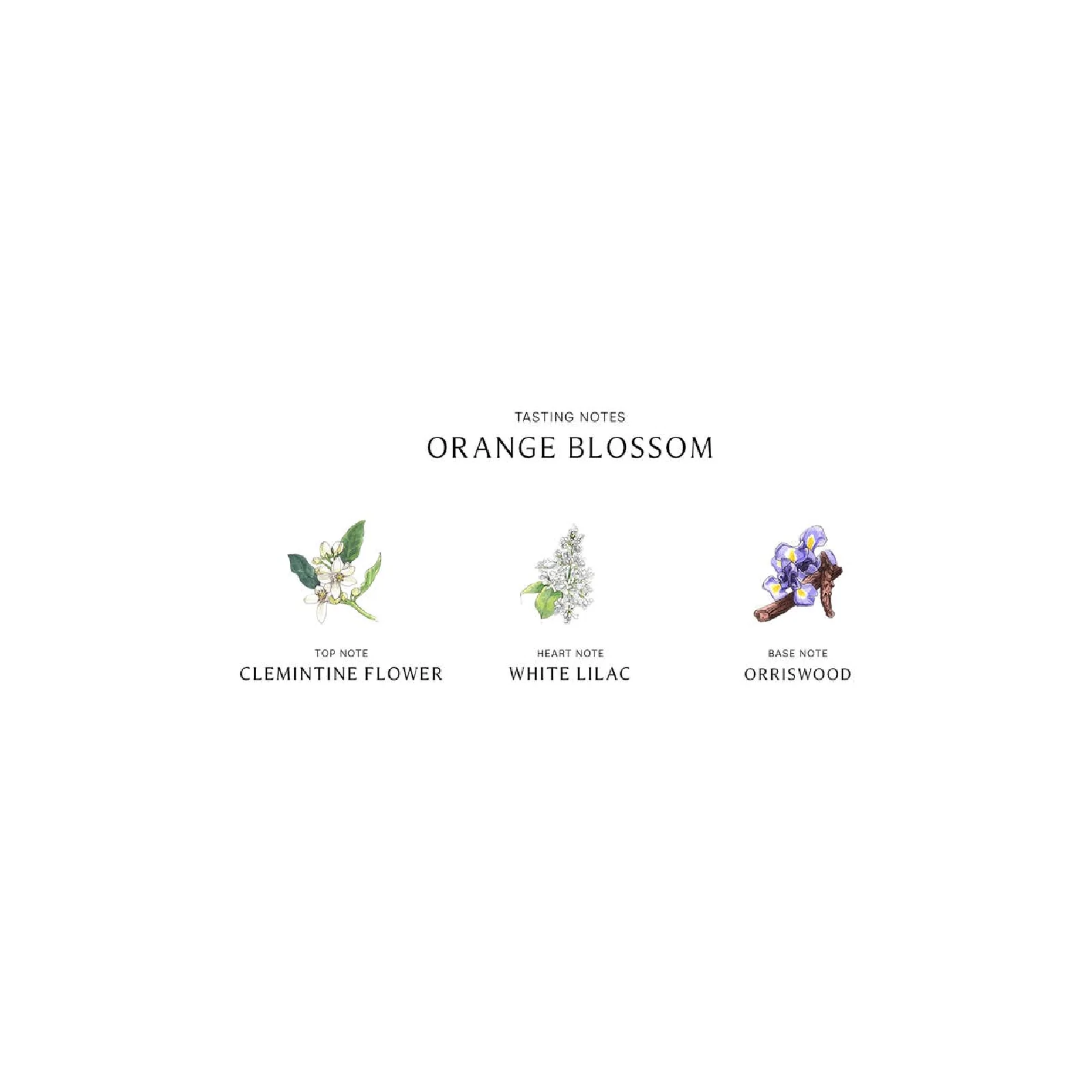 Jo Malone Orange Blossom Eau de Cologne for Women - Image 7