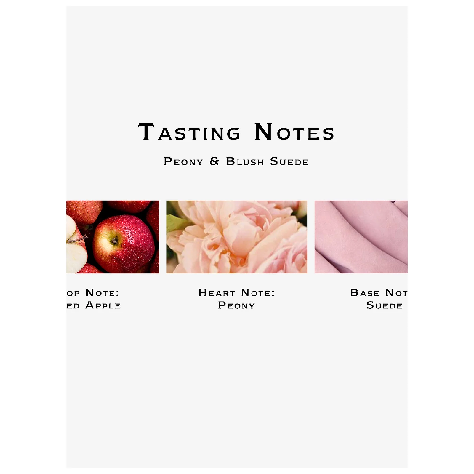 Jo Malone Peony & Blush Suede Eau de Cologne for Women - Image 6