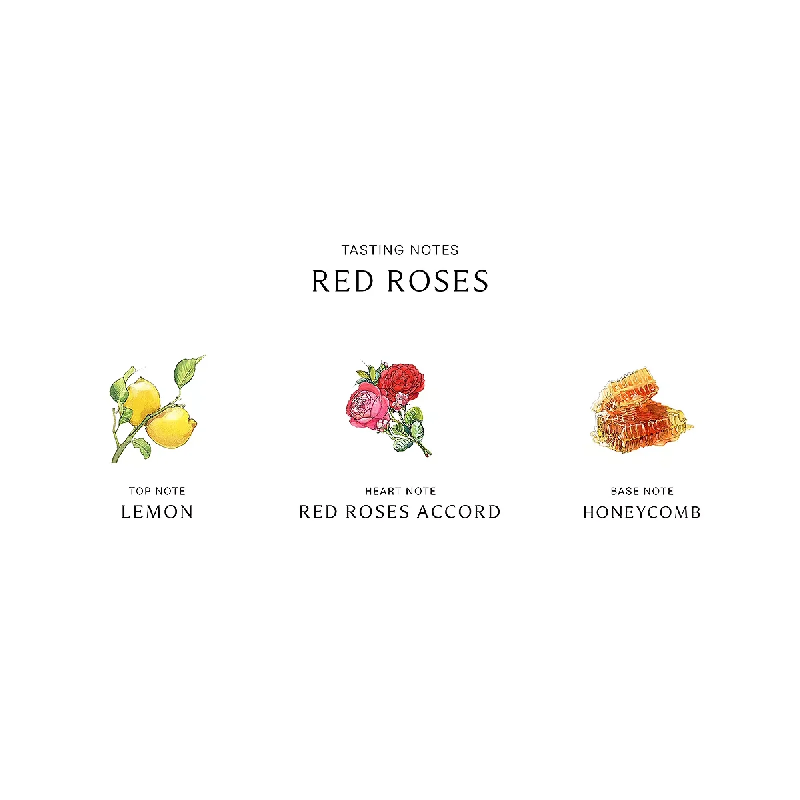 Jo Malone Red Rose Eau de Cologne for Women - Image 3