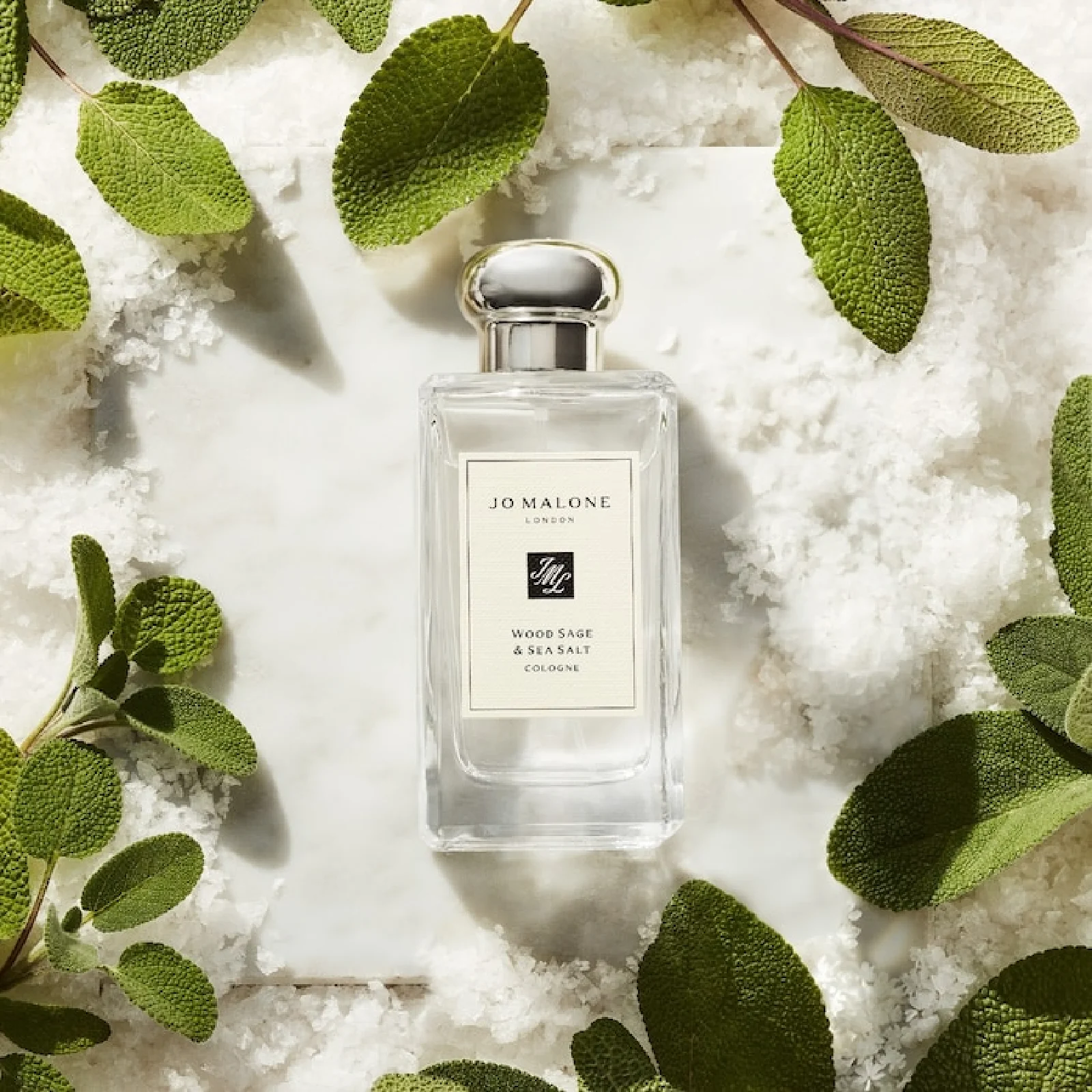 Jo Malone Wood Sage & Sea Salt Eau de Cologne for Women - Image 3