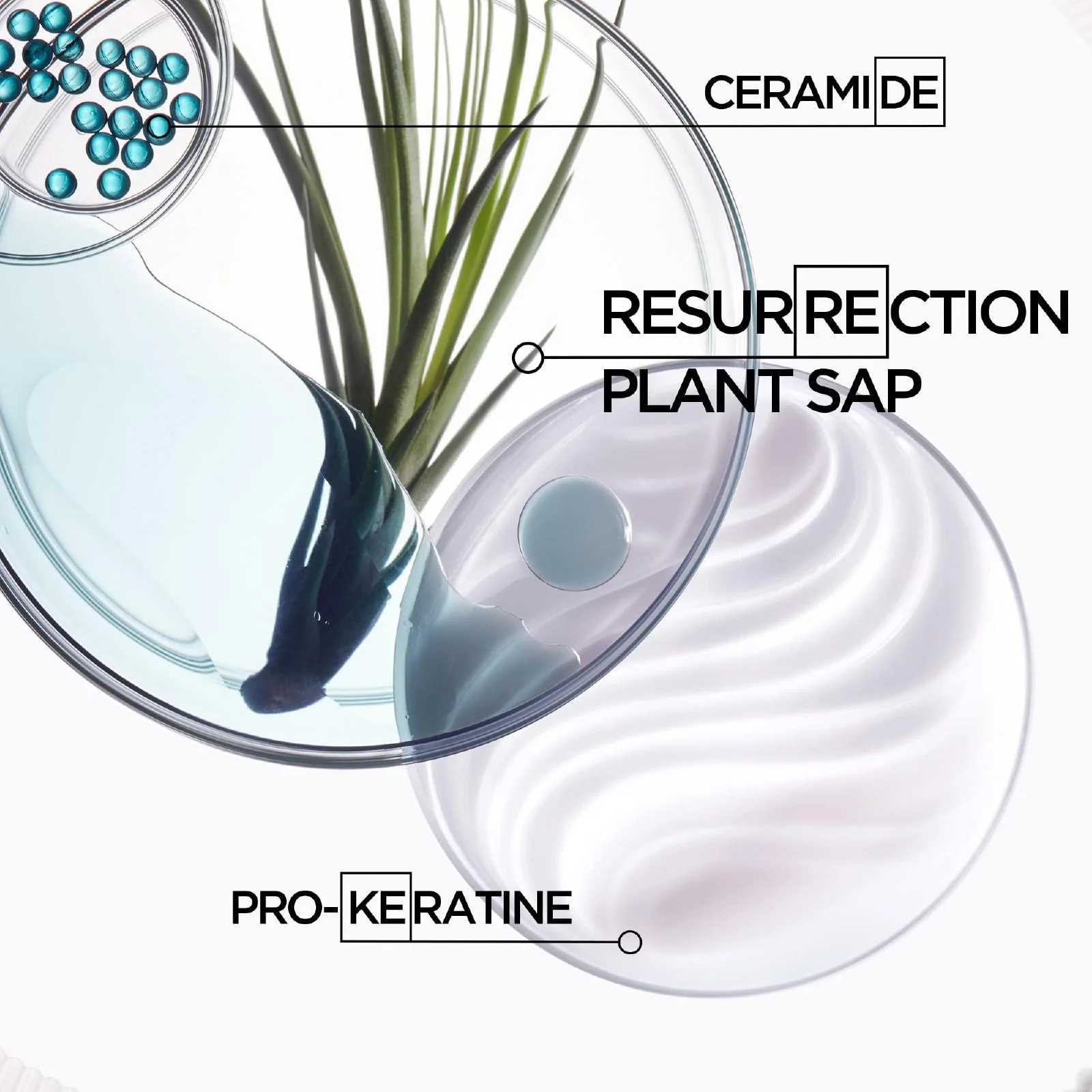 Kerastase Resistance Bain Force Architecte Strengthening Shampoo for Everyone - Image 5
