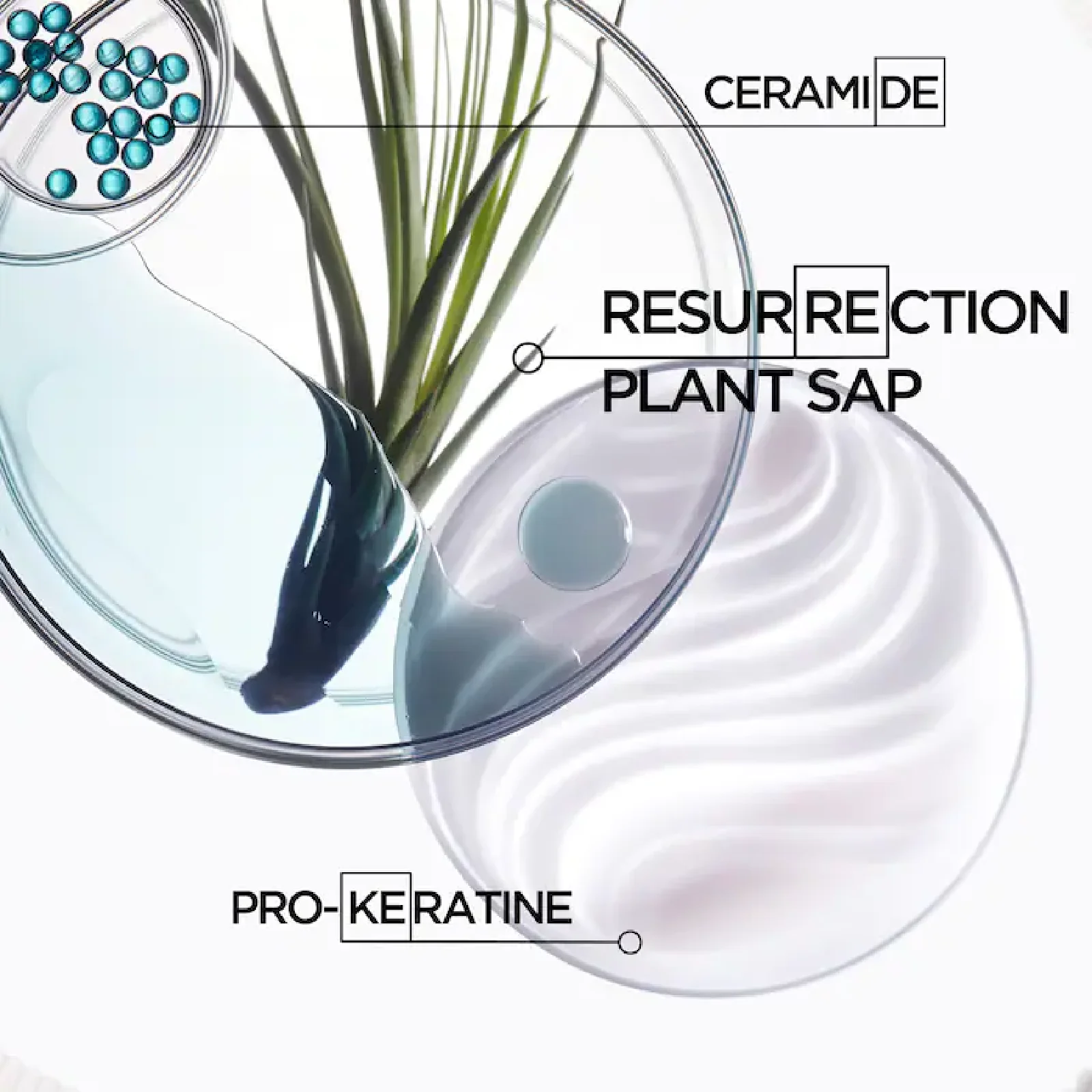 Kerastase Resistance Ciment Thermique Conditioner for Women - Image 5