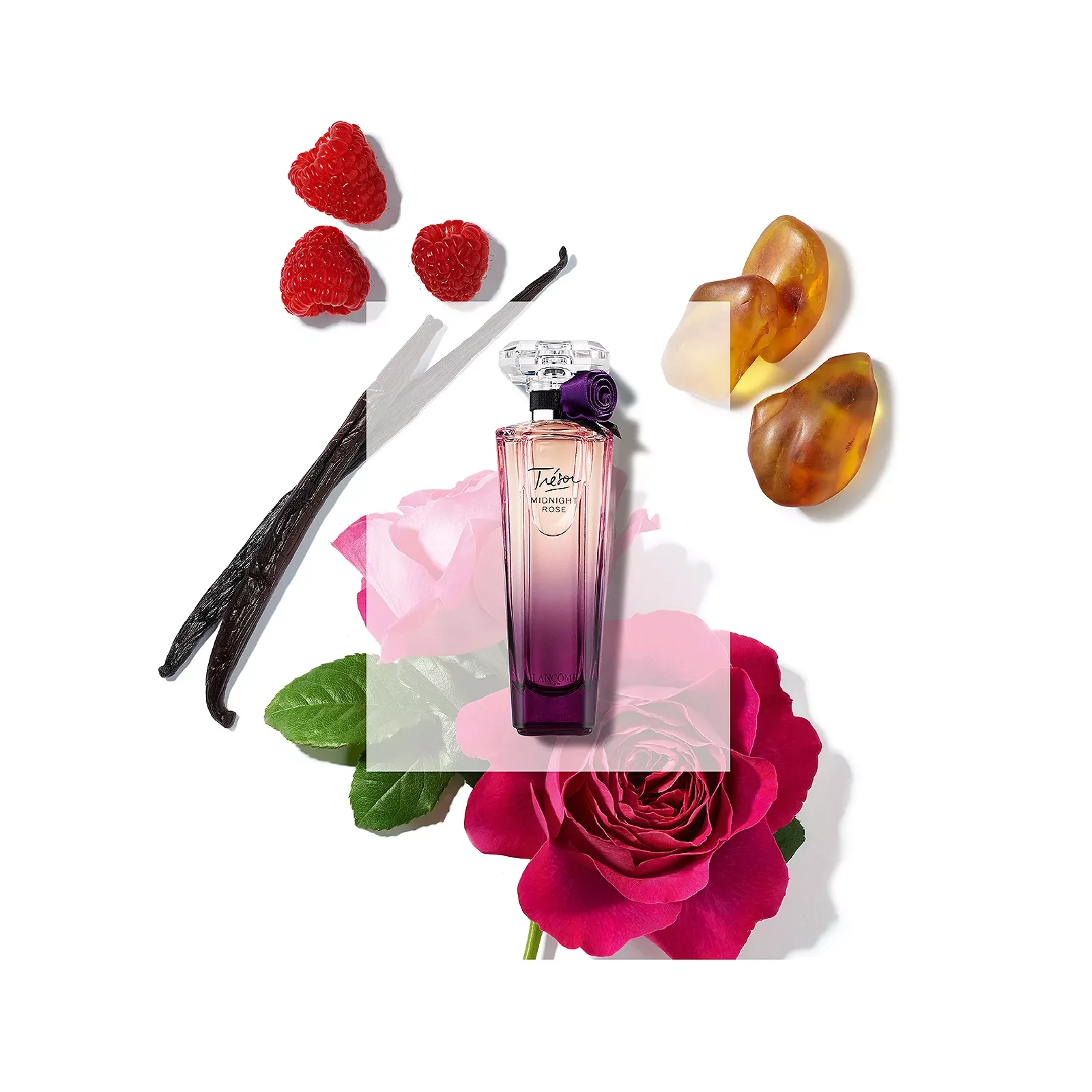 Lancome Tresor Midnight Rose Eau de Parfum for Women - Image 6
