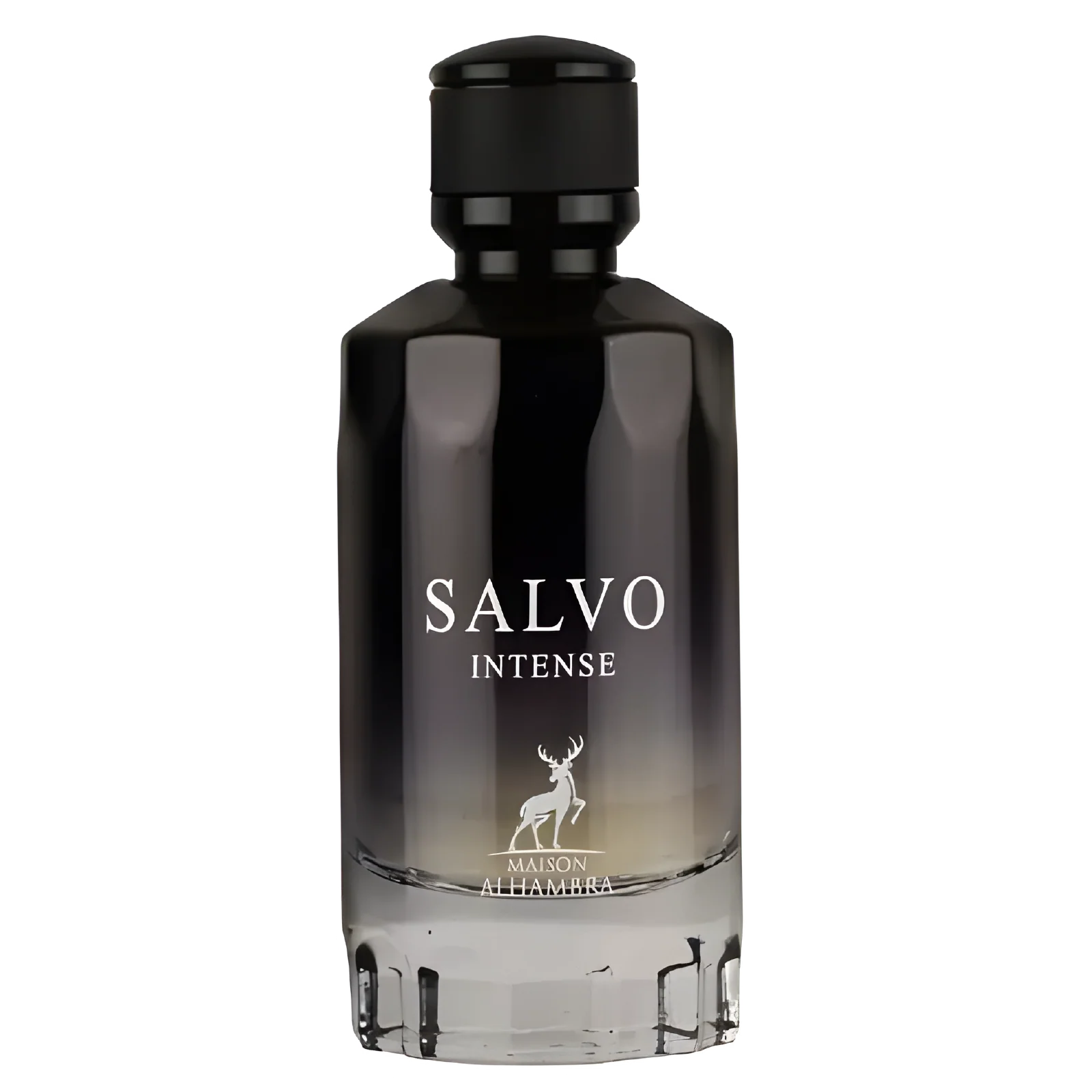 Maison Alhambra Salvo Intense Eau de Parfum for Men